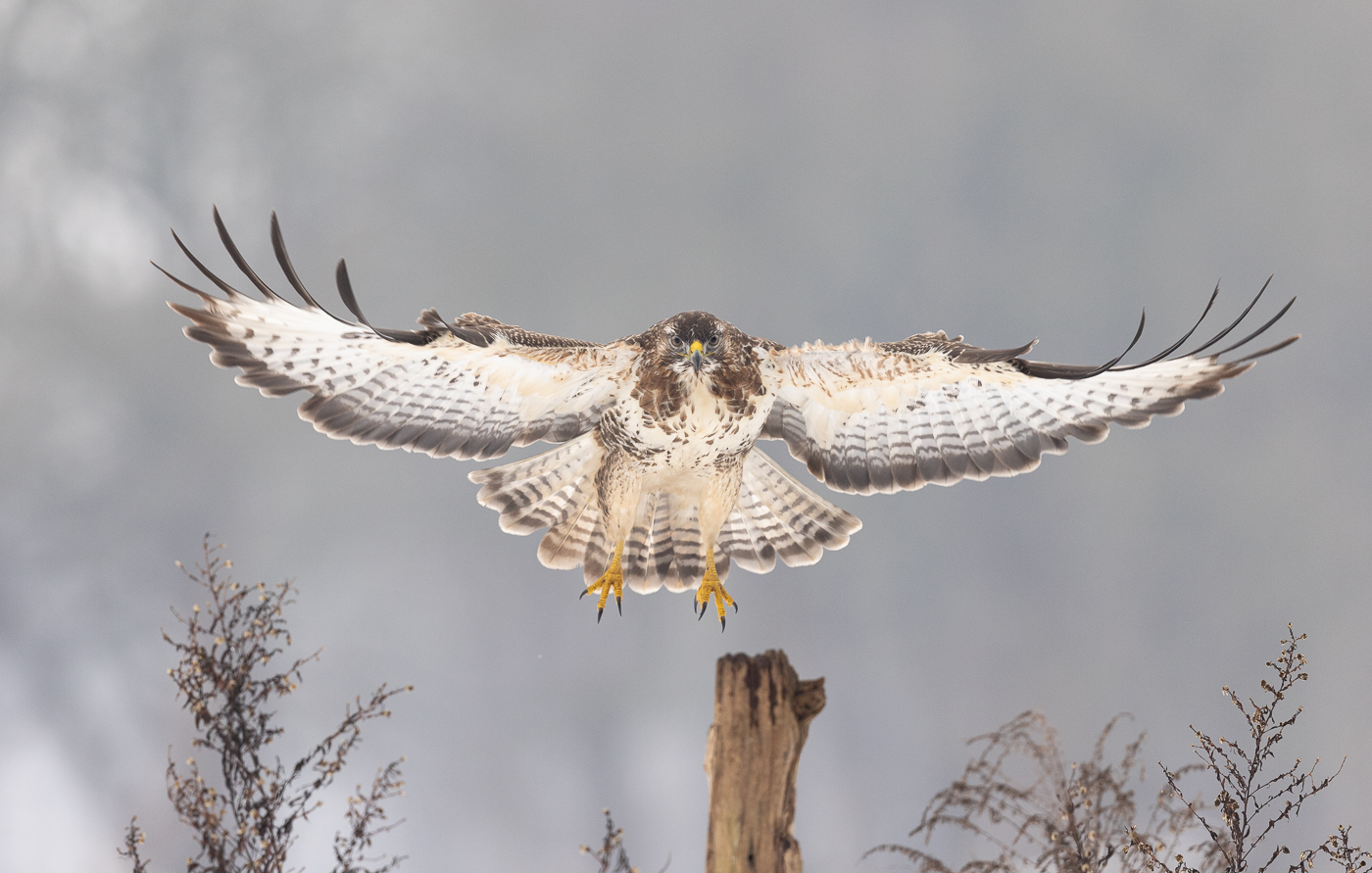 Das Ziel immer im Blick..