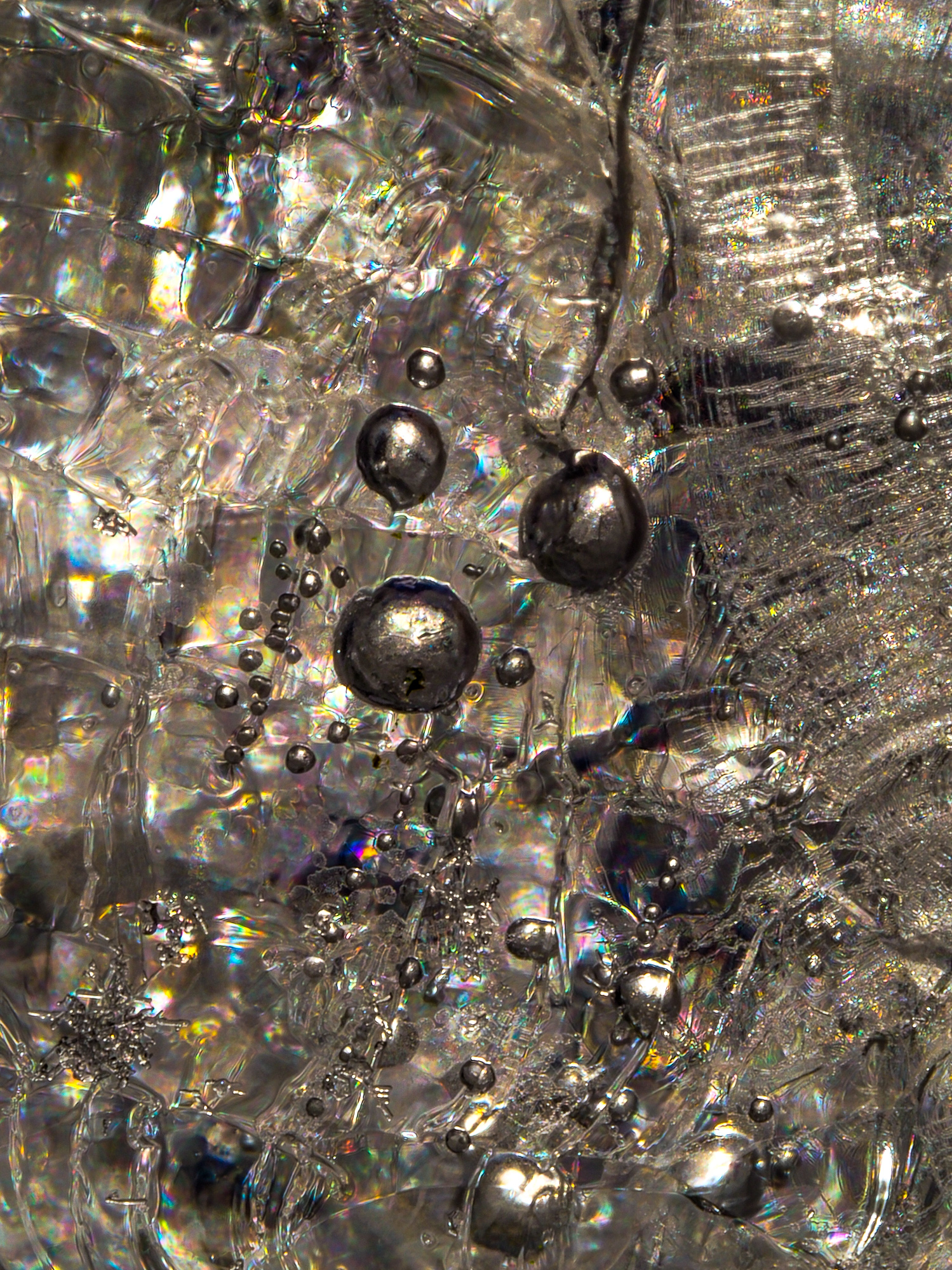 ****....0OoO0.....****