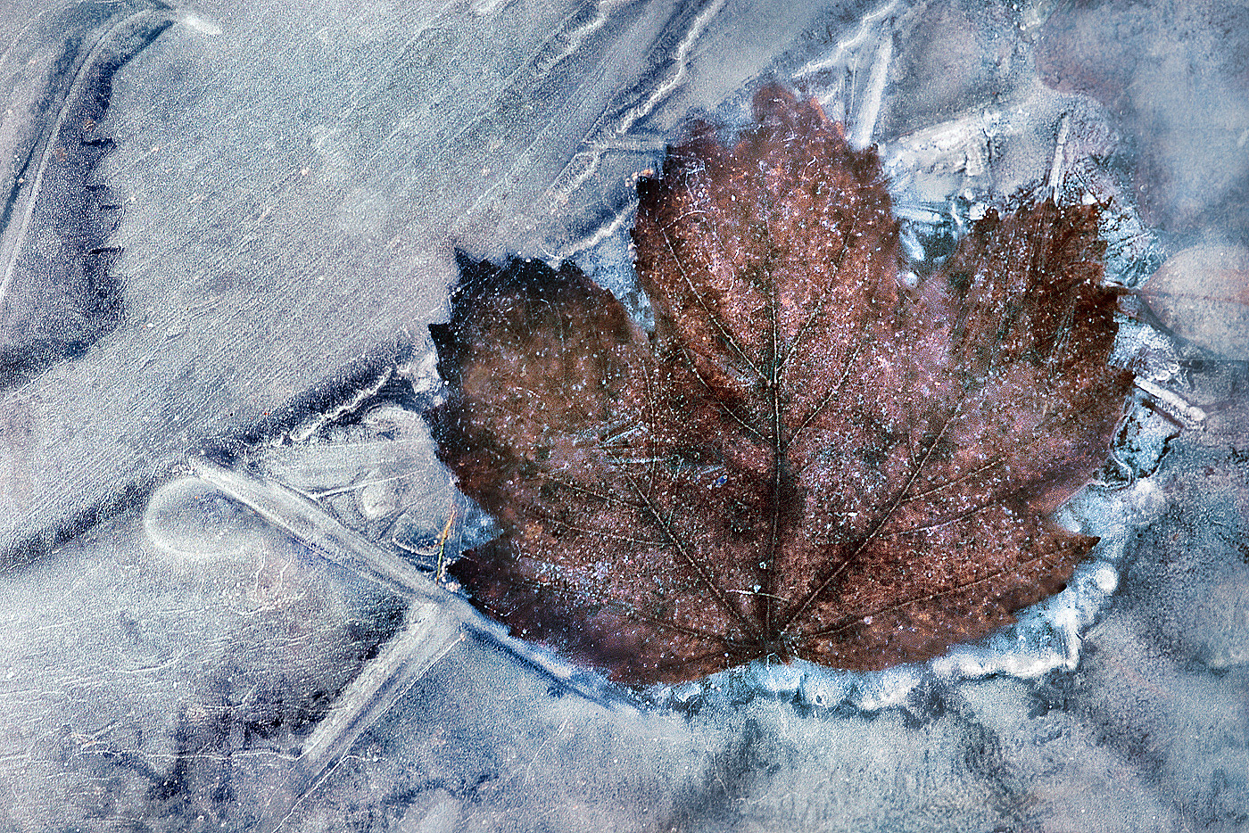 Frozen ...,