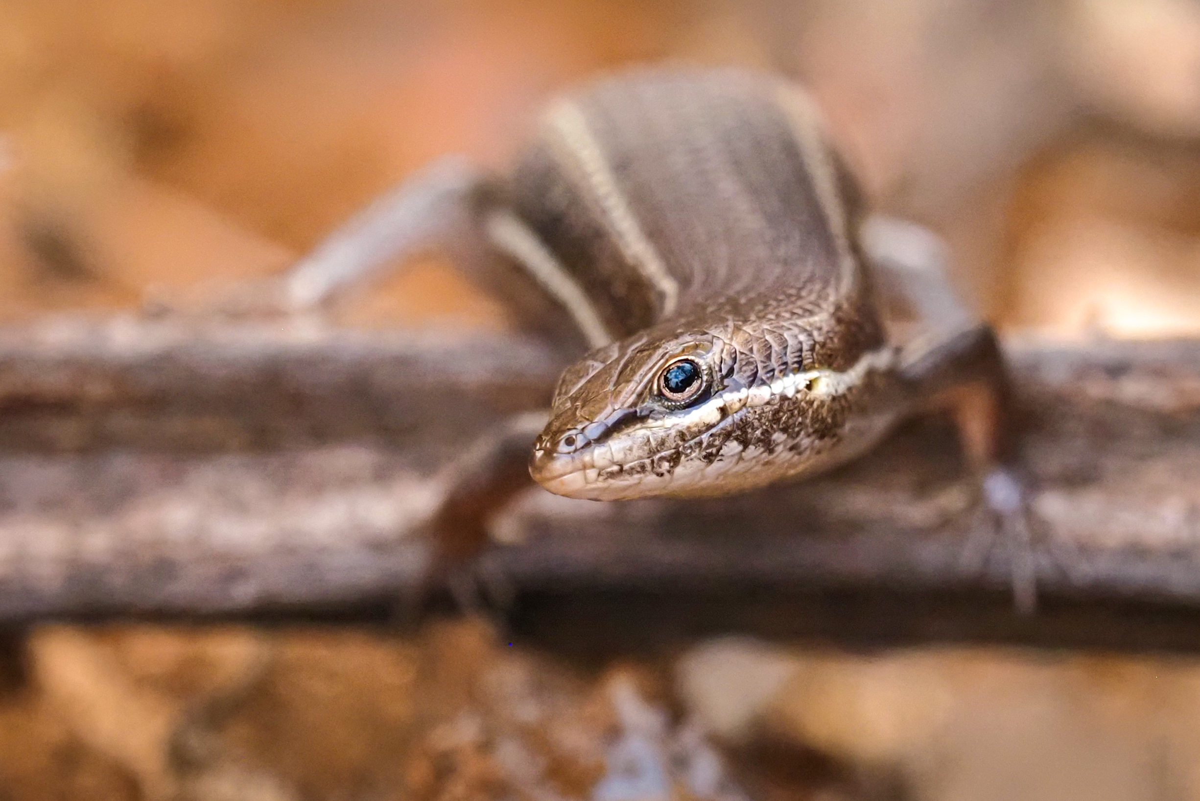 Ich sehe dich kleiner