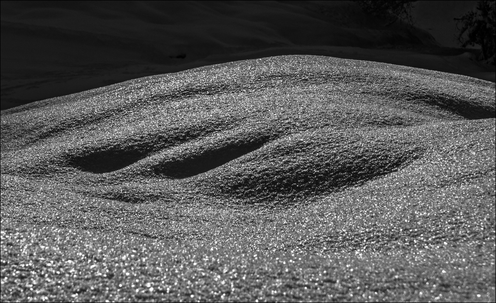 glänzender Winter
