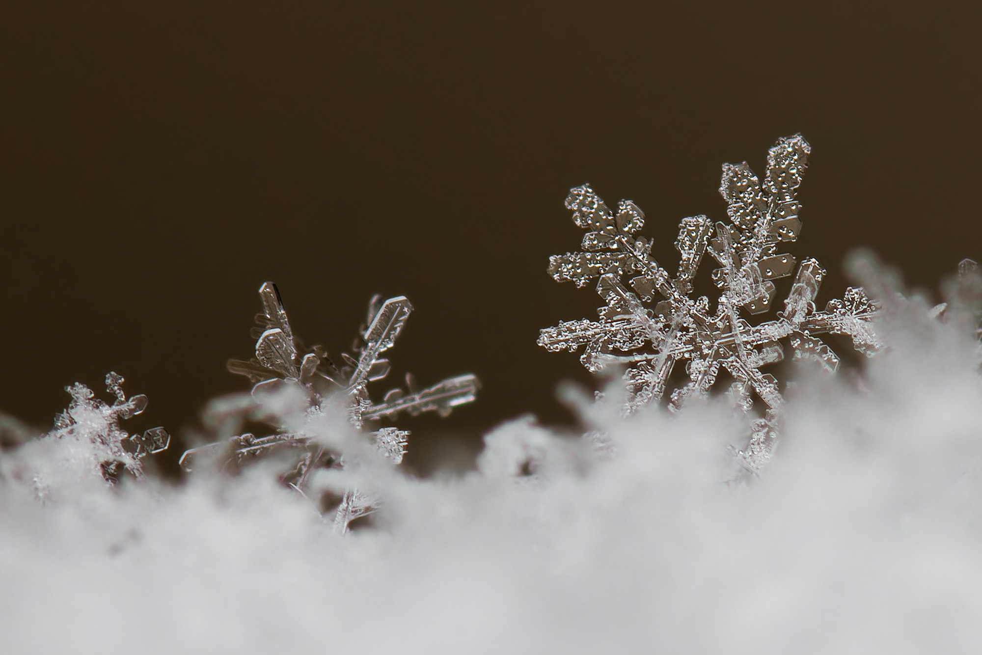Schneeflocken