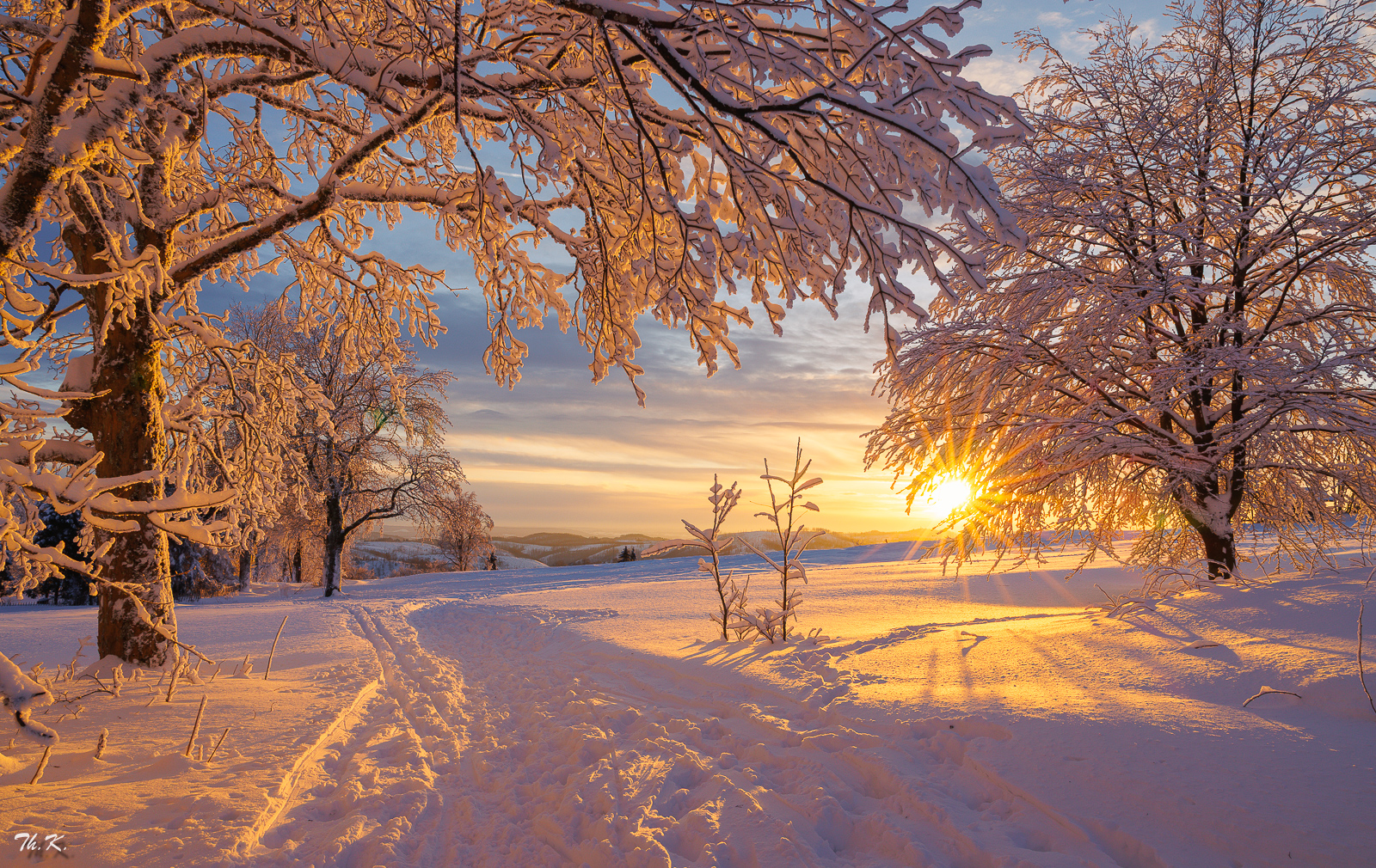 Wintertraum...