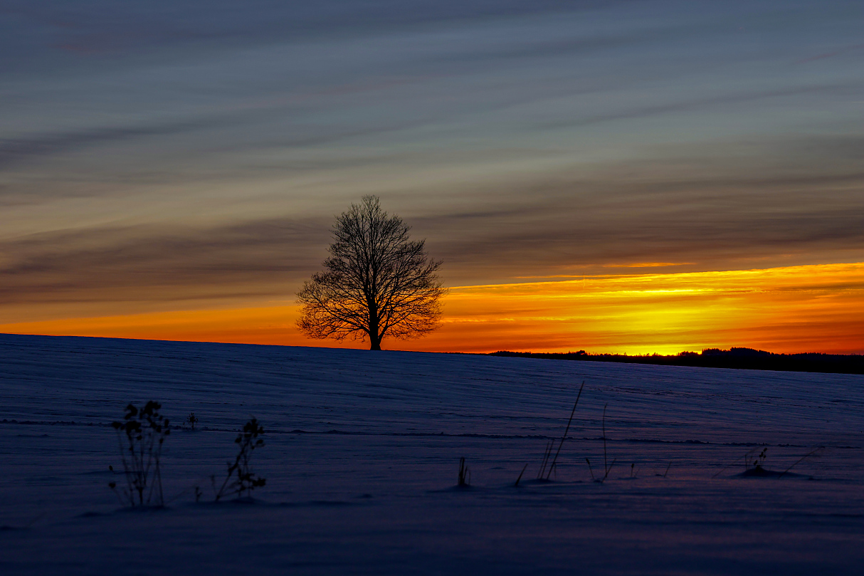 Wintersonnenuntergang