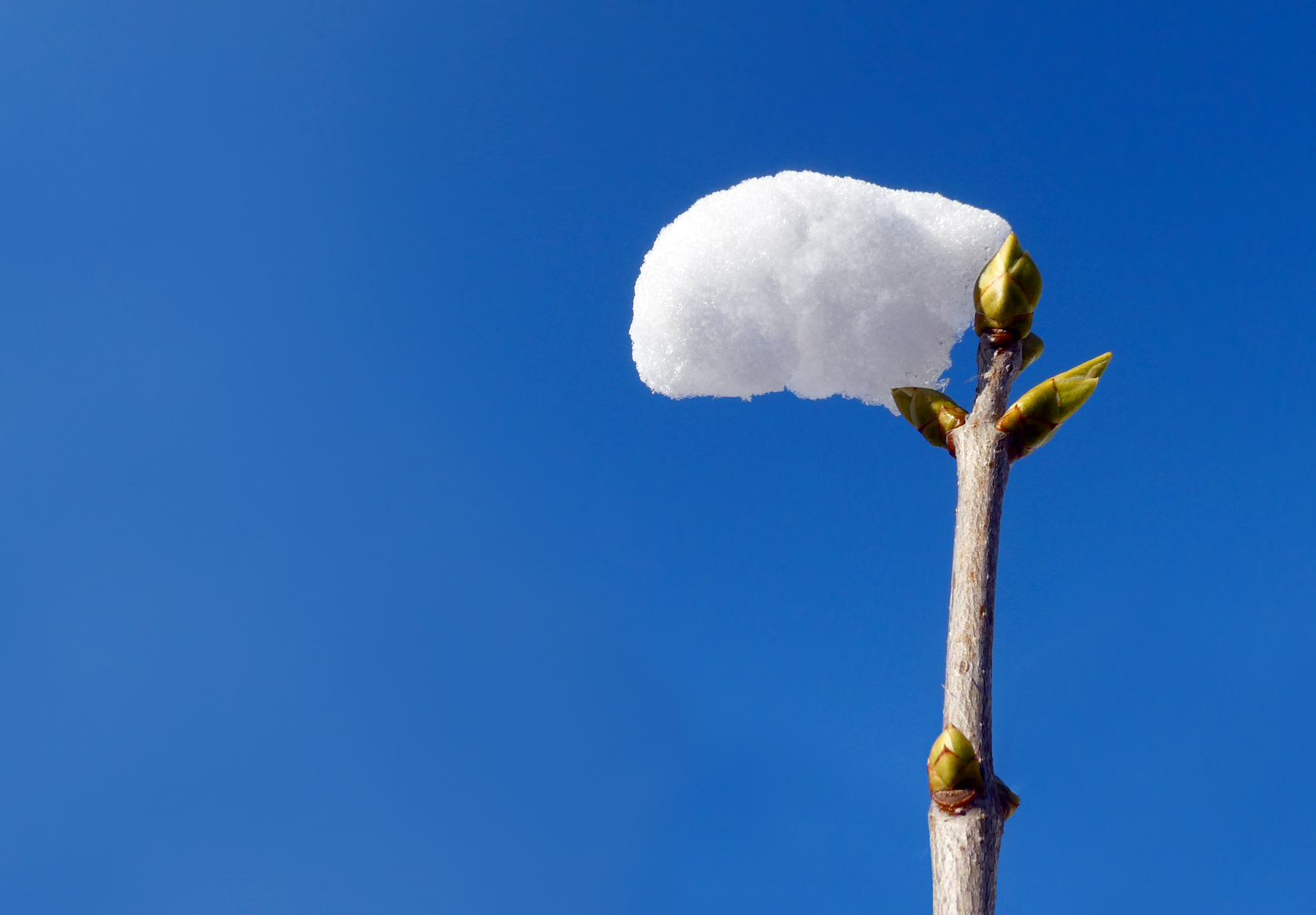Schneefahne ...