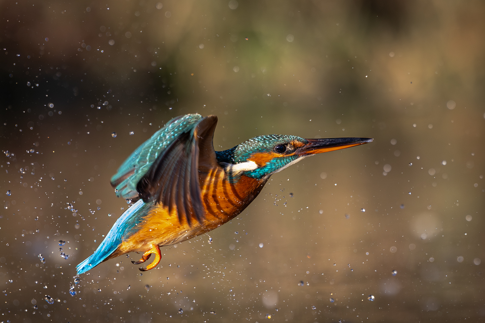 Abflug