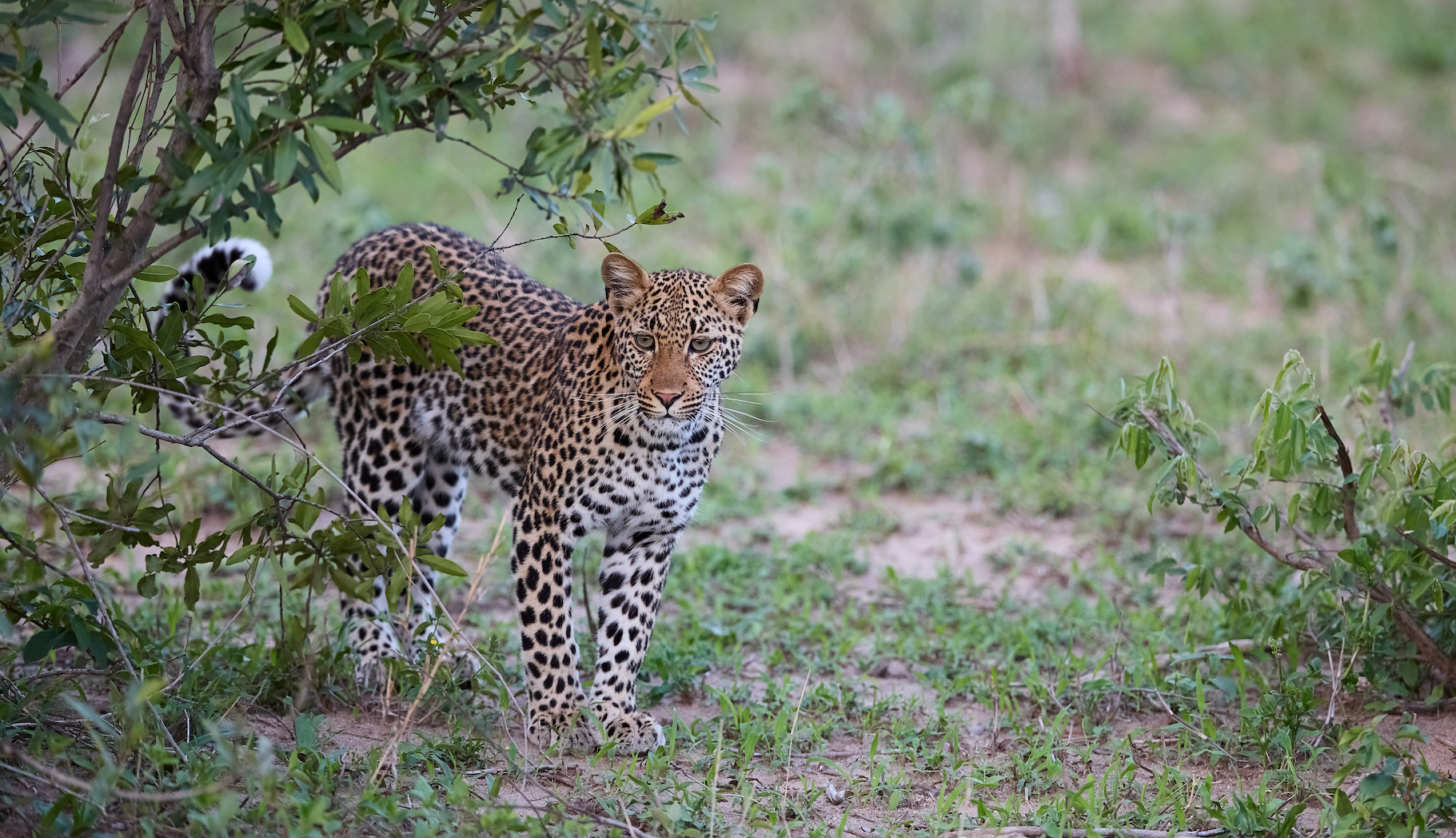 Die Neugierde ist geweckt
