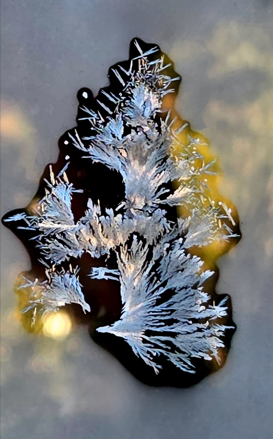 Eisblume