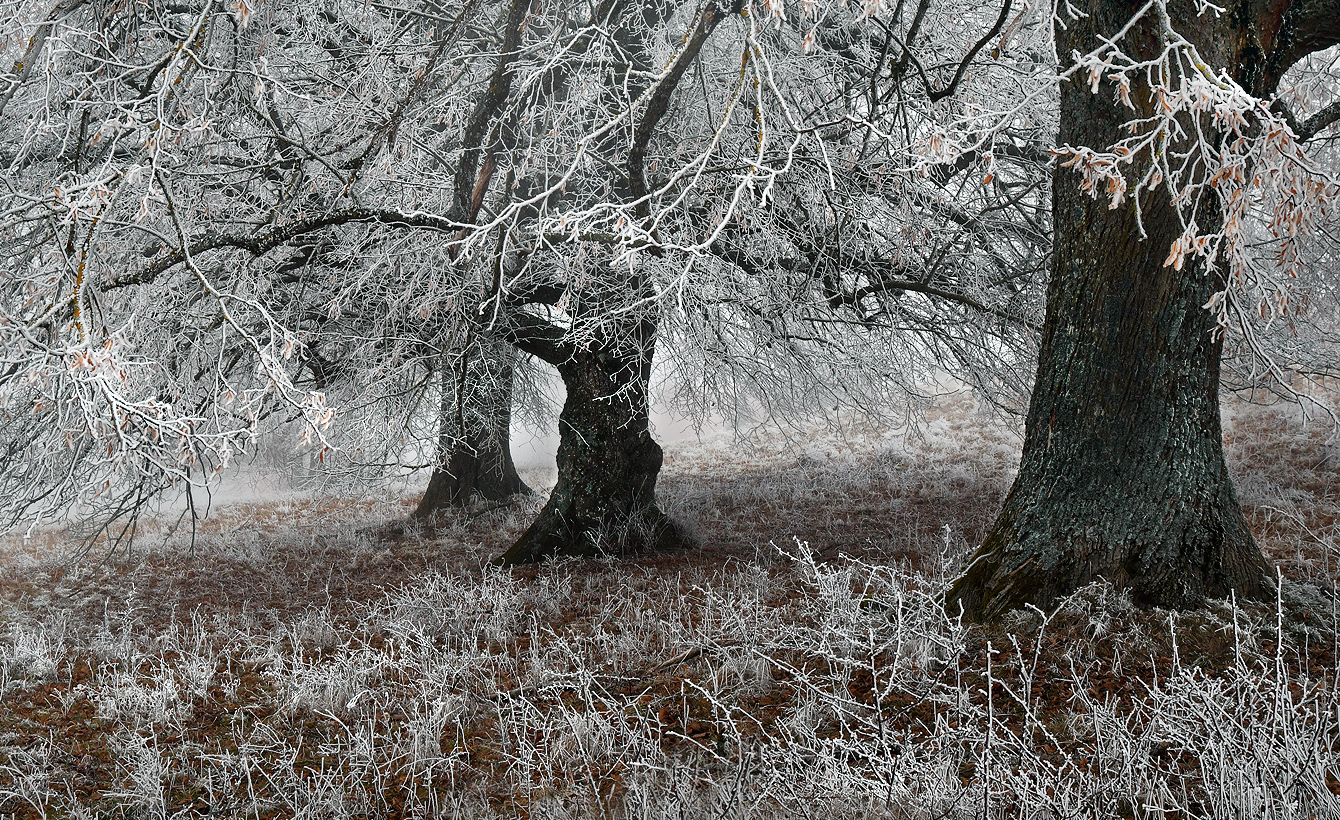 Ein Wintertag ...,