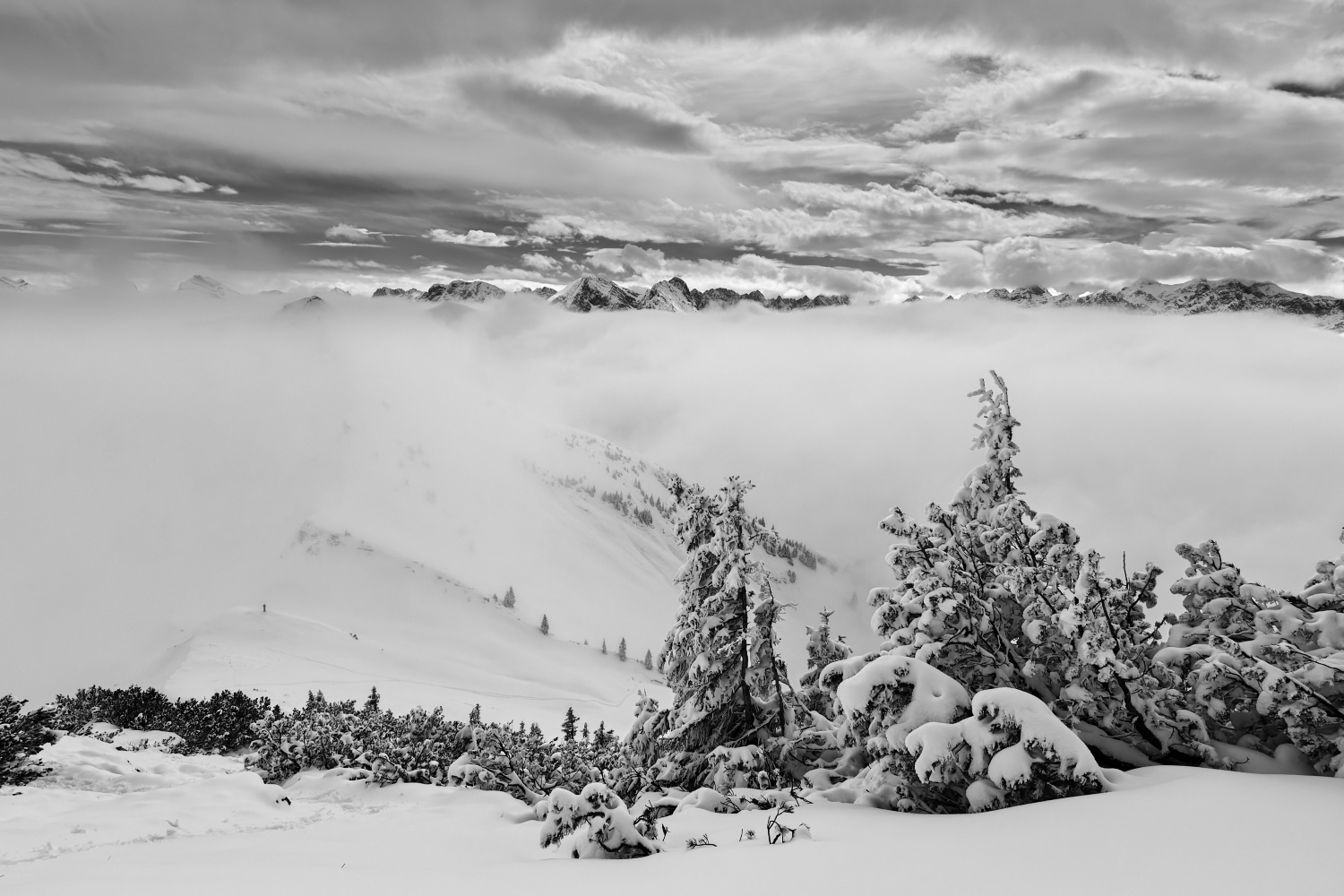 Winterwelt
