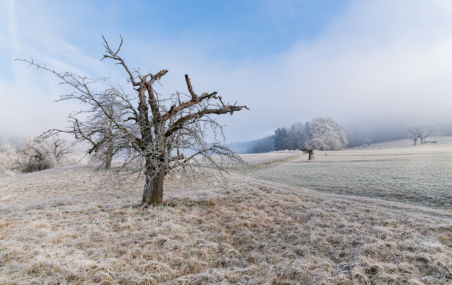 Kalter Gruß aus der neuen Heimat