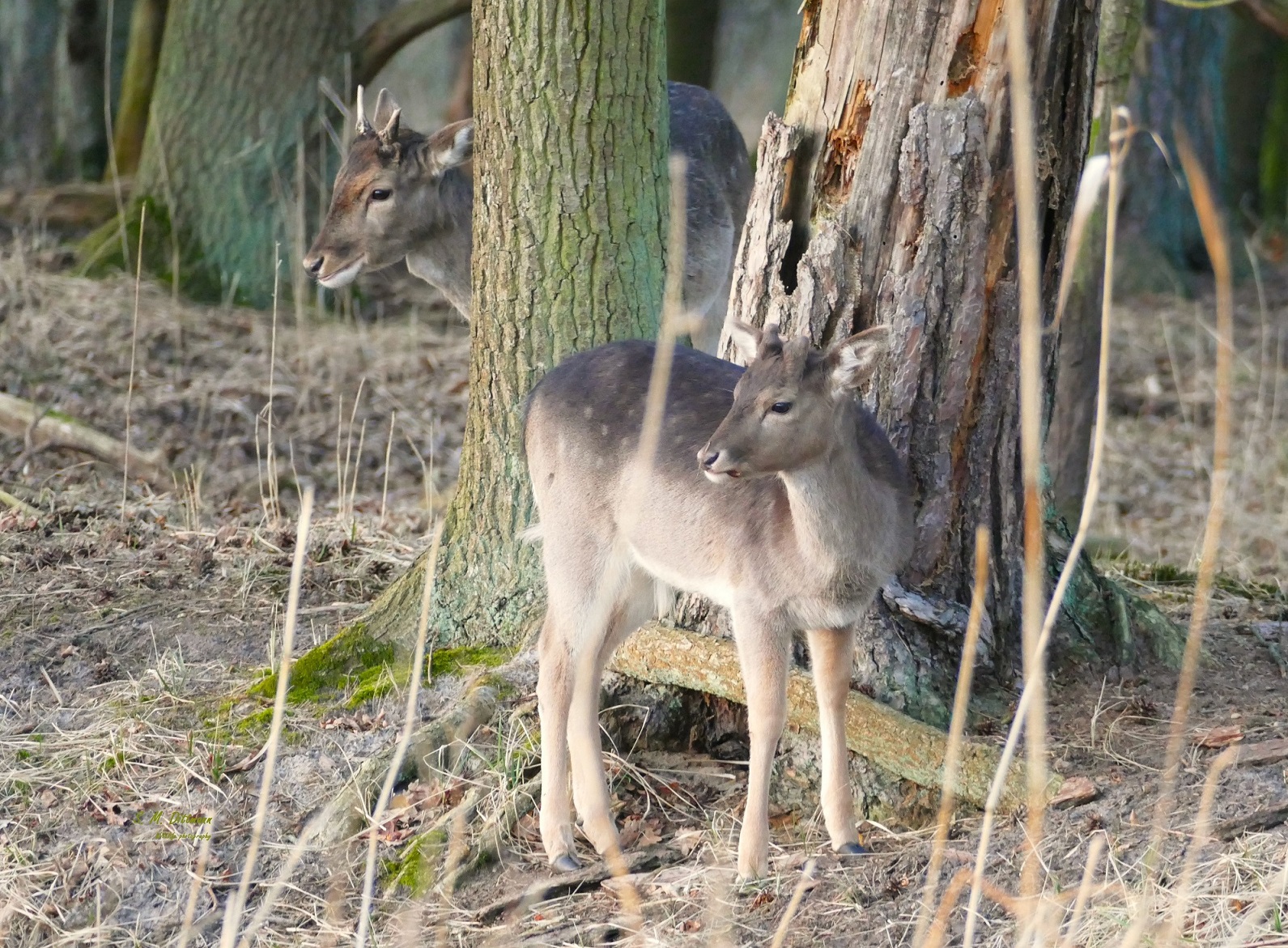 Da war es noch wärmer