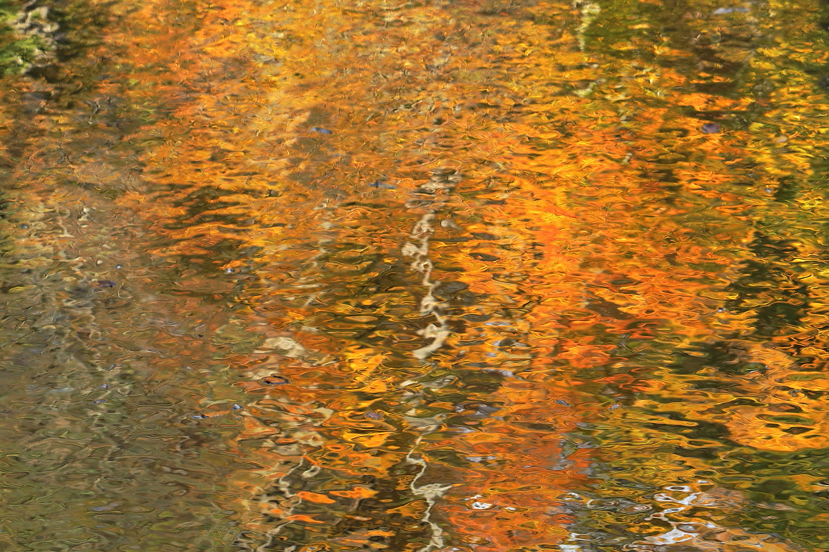 Herbstfarben