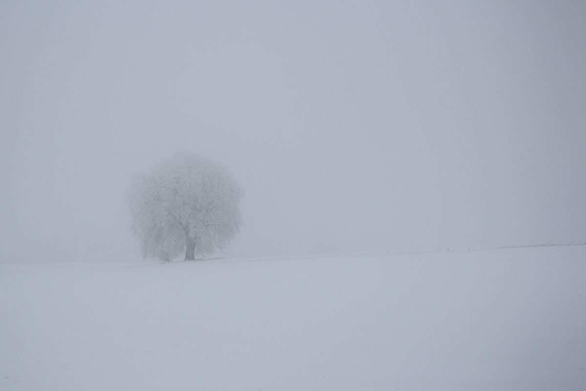 Schnee und Nebel...