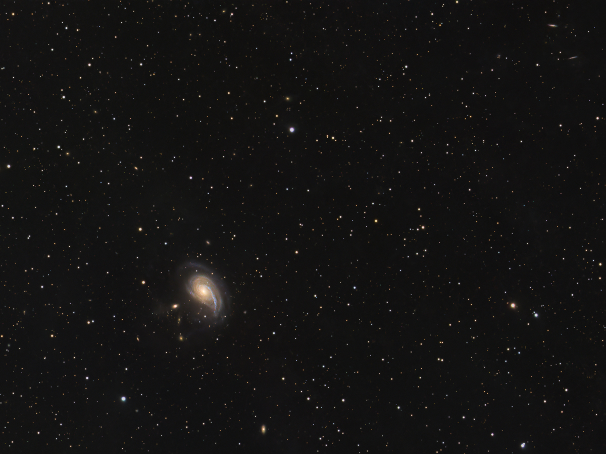 NGC 772 im Sternbild Widder