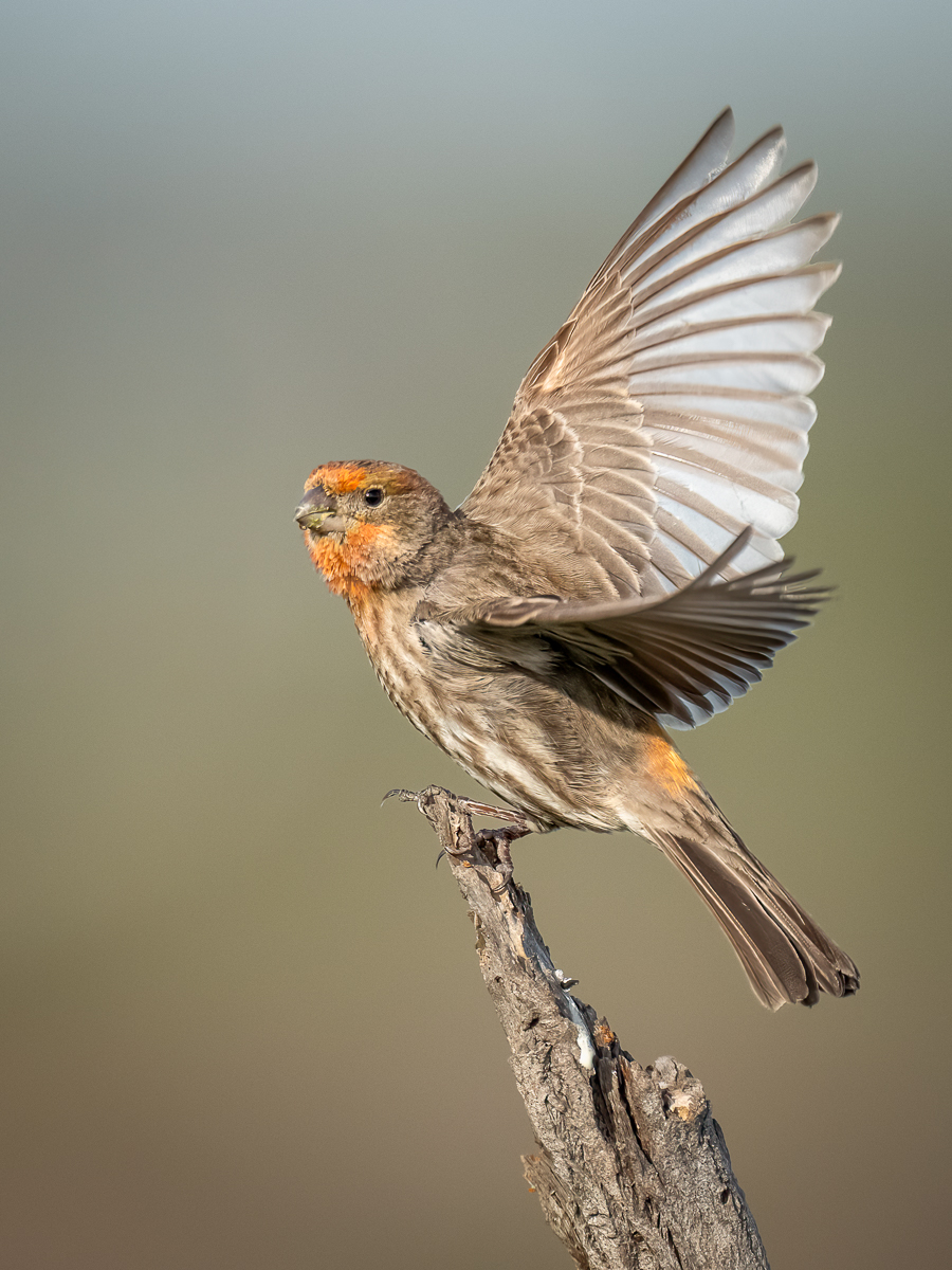 Abflug