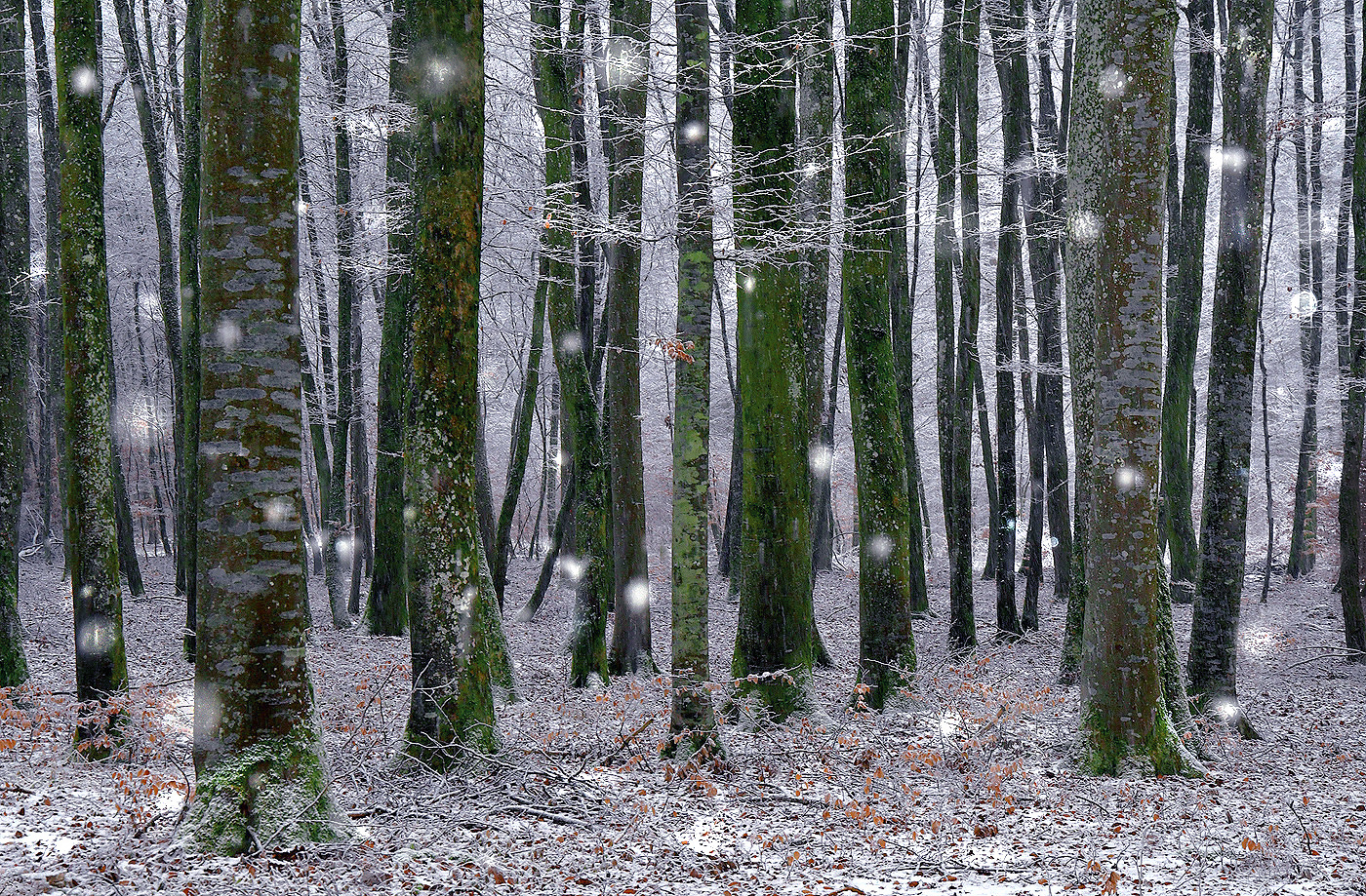 Winterwetter ...,