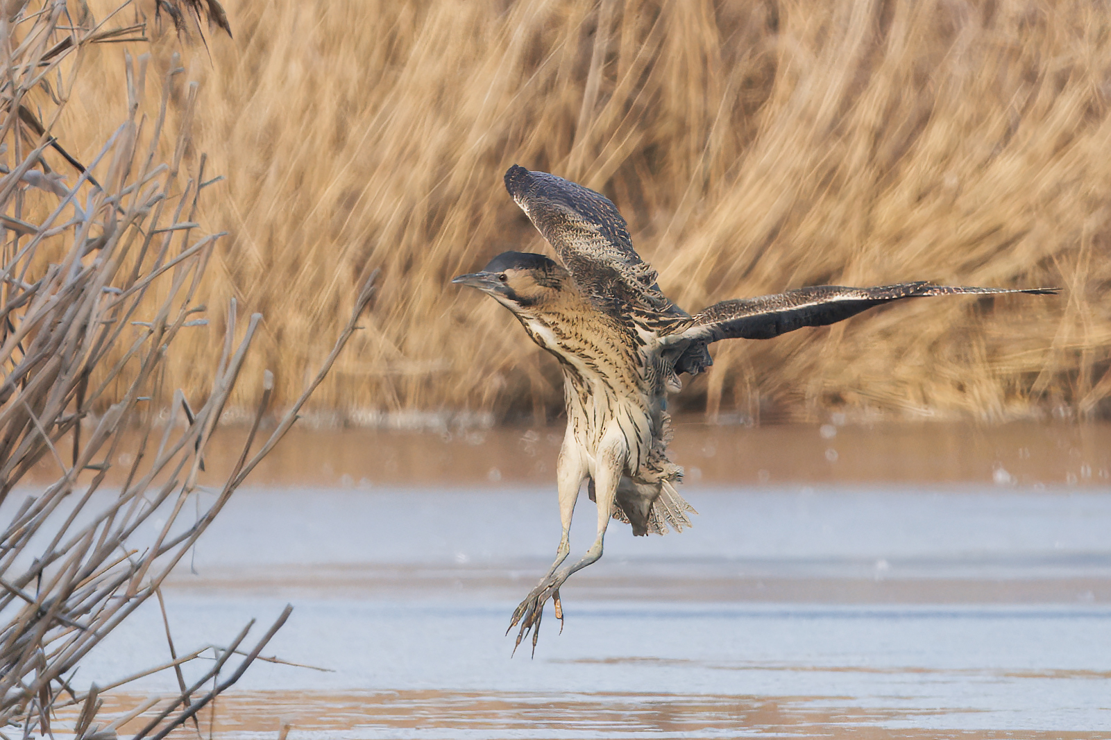 Landing