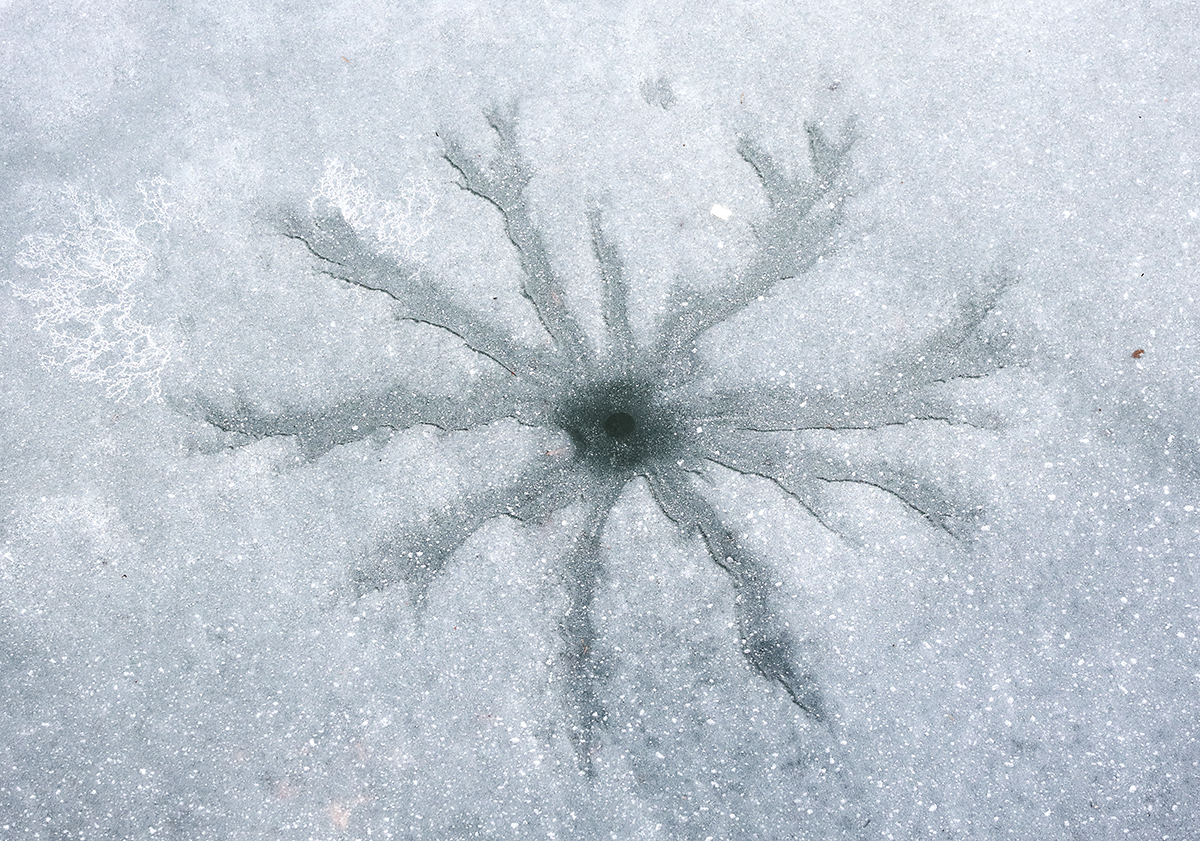 Riesige Eisblume