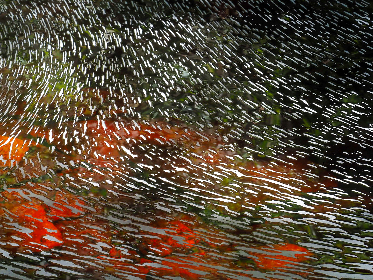 Kein Schnee,  kein Eis