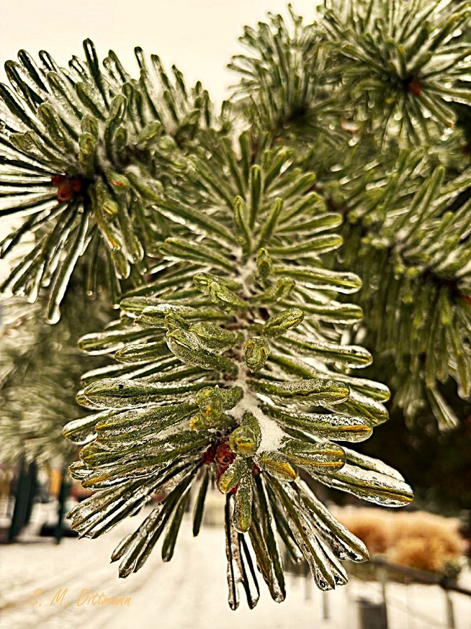 Wie in Glas gegossen