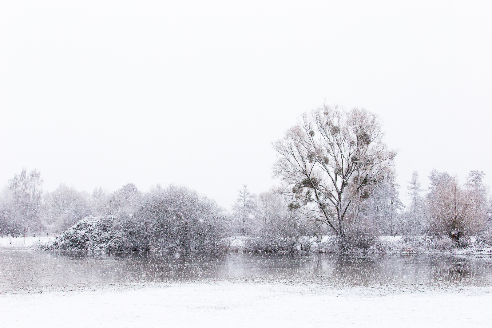 Wieder mal Winter