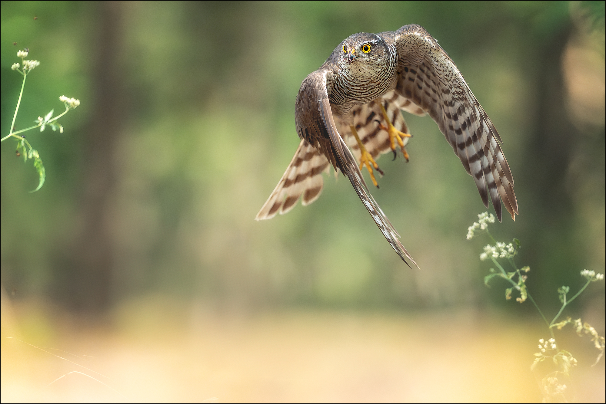 im Vorbeiflug