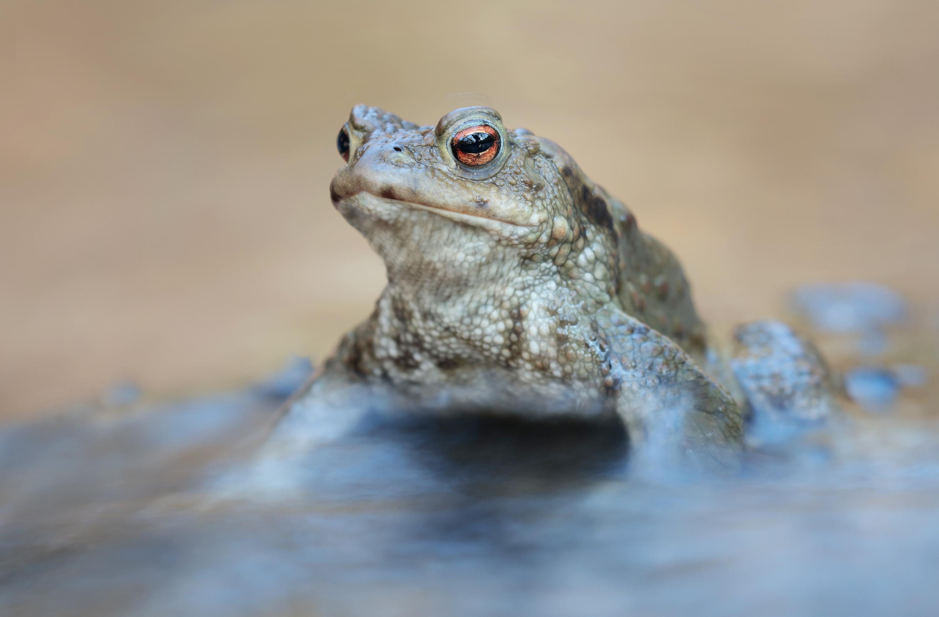 ....ist denn schon wieder Wochenende ??