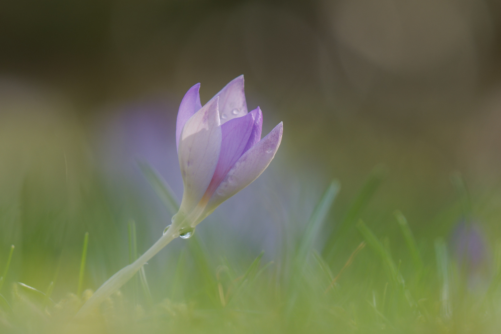 Die ersten Mutigen trauen sich heraus