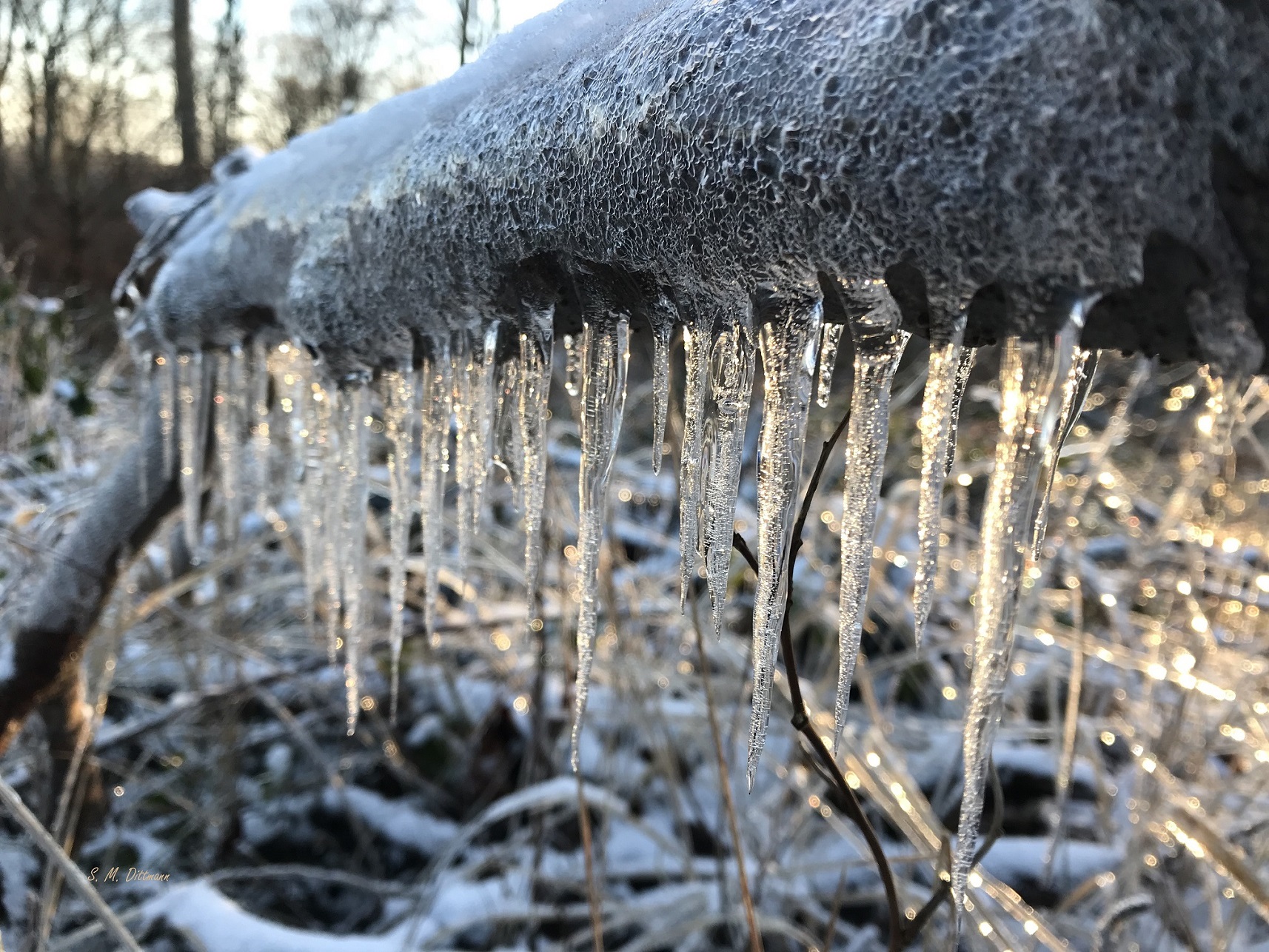 Gold durchwirkt