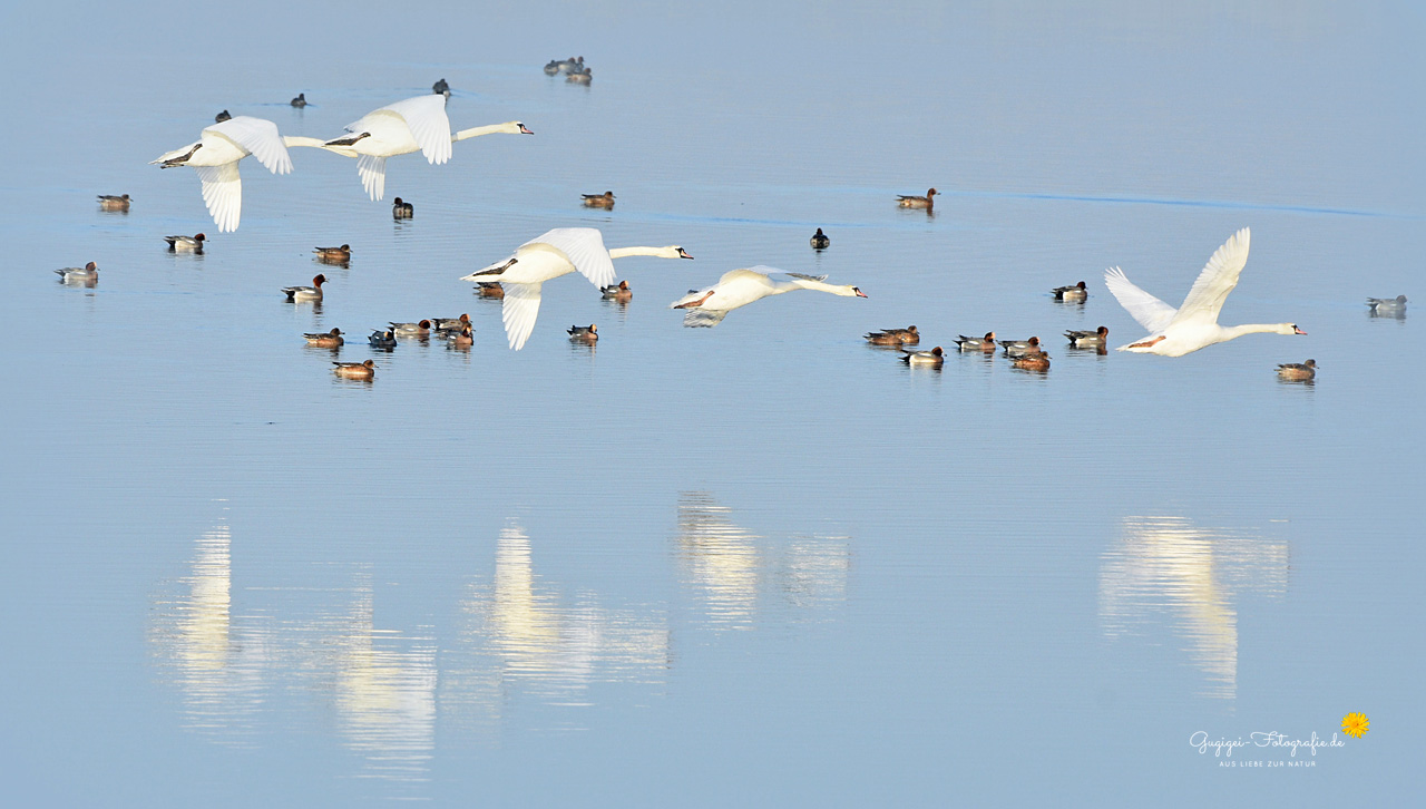 Ein Moment zum Träumen ...