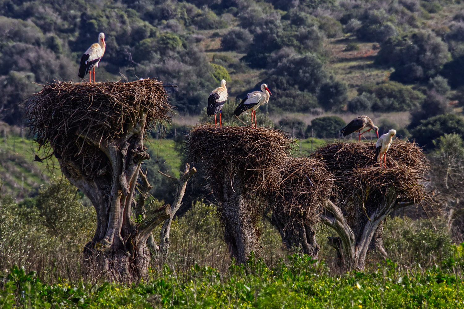 Kommunaler Wohnungsbau...