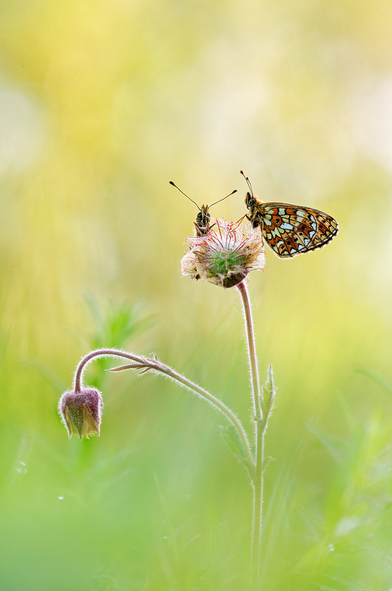 Auch gut geschlafen??