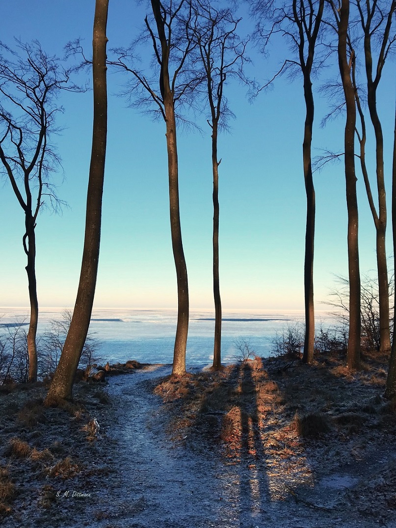Eis soweit das Auge reicht