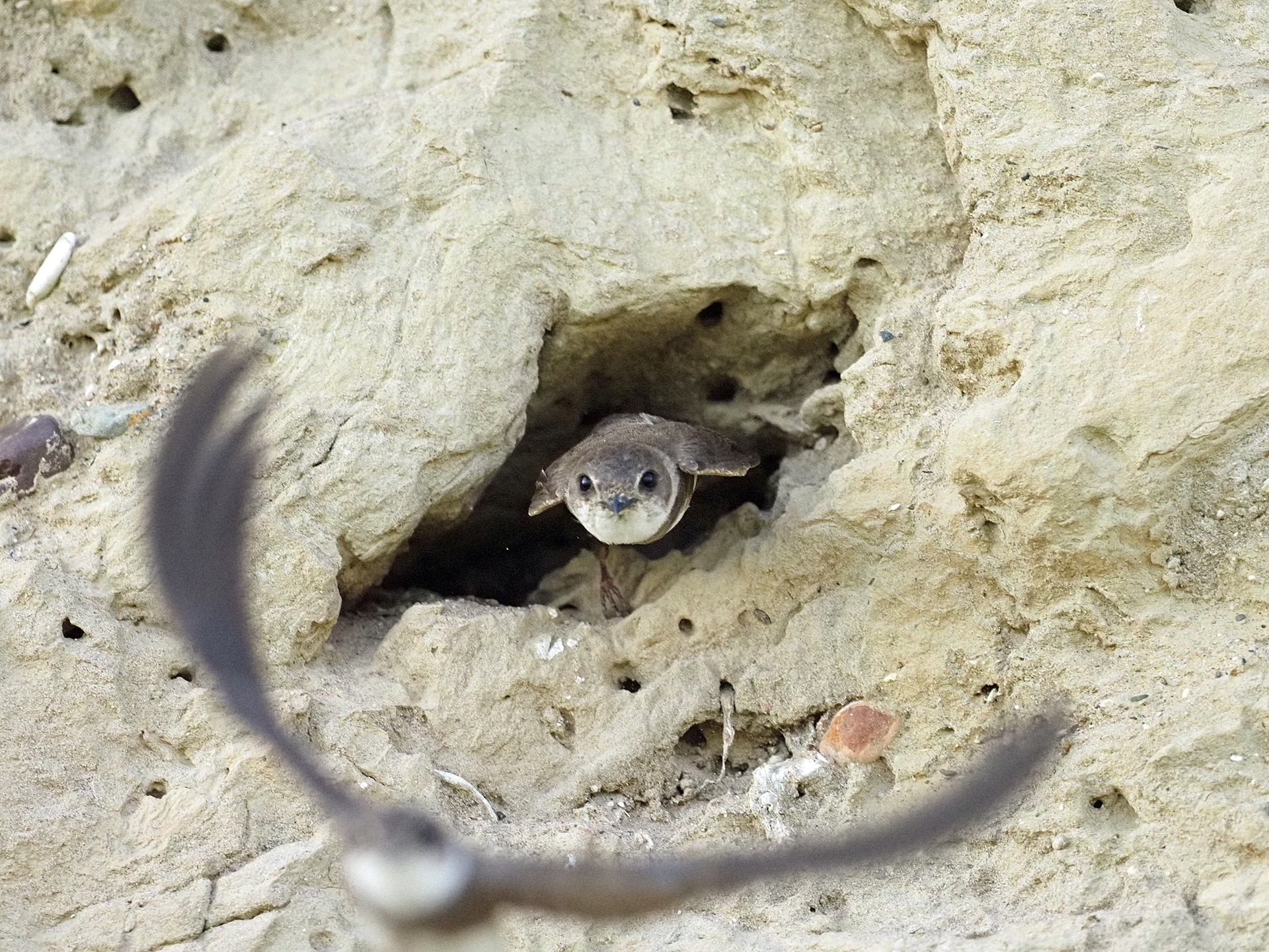 Der Bau wird geräumt