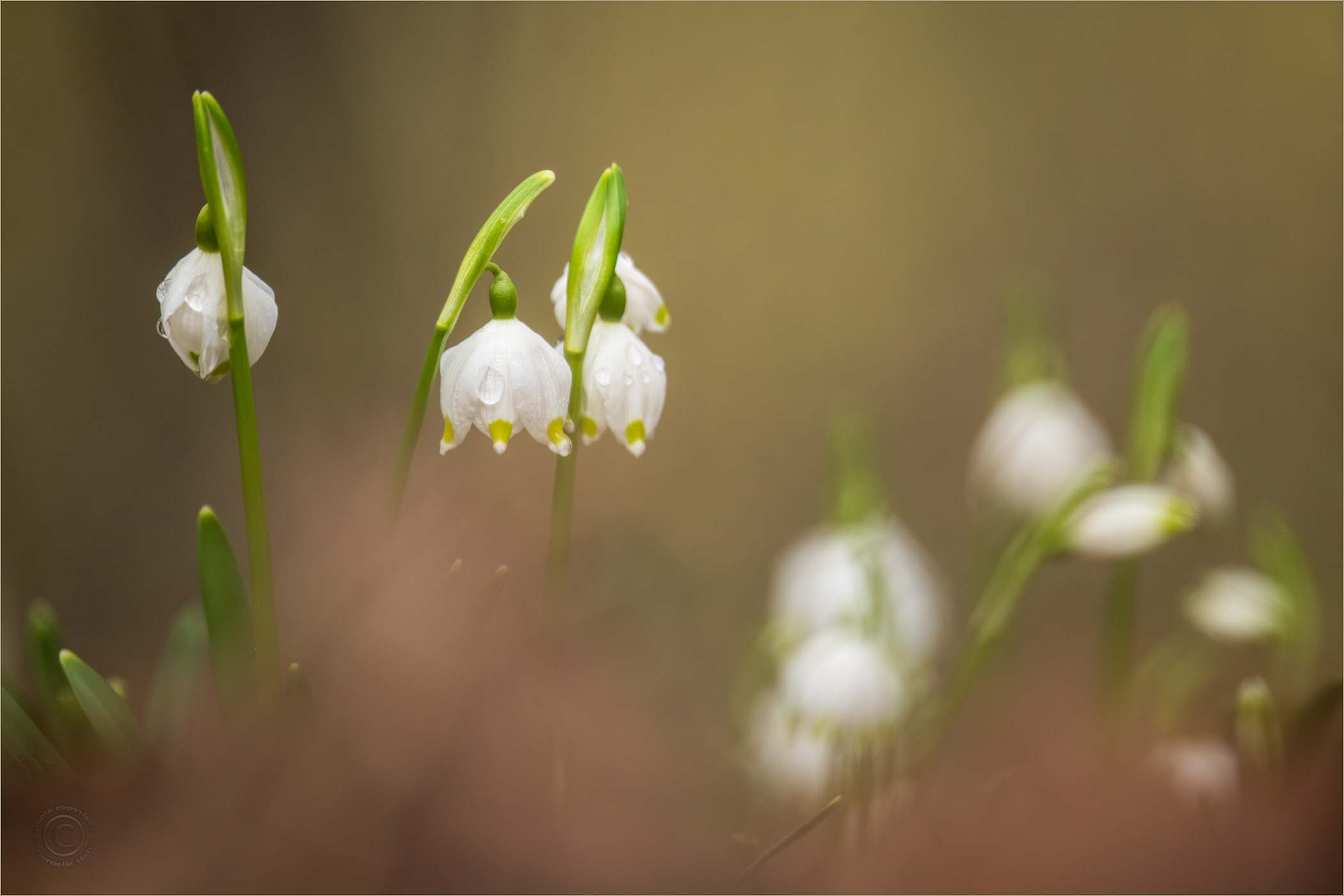 Haben wir denn schon März?