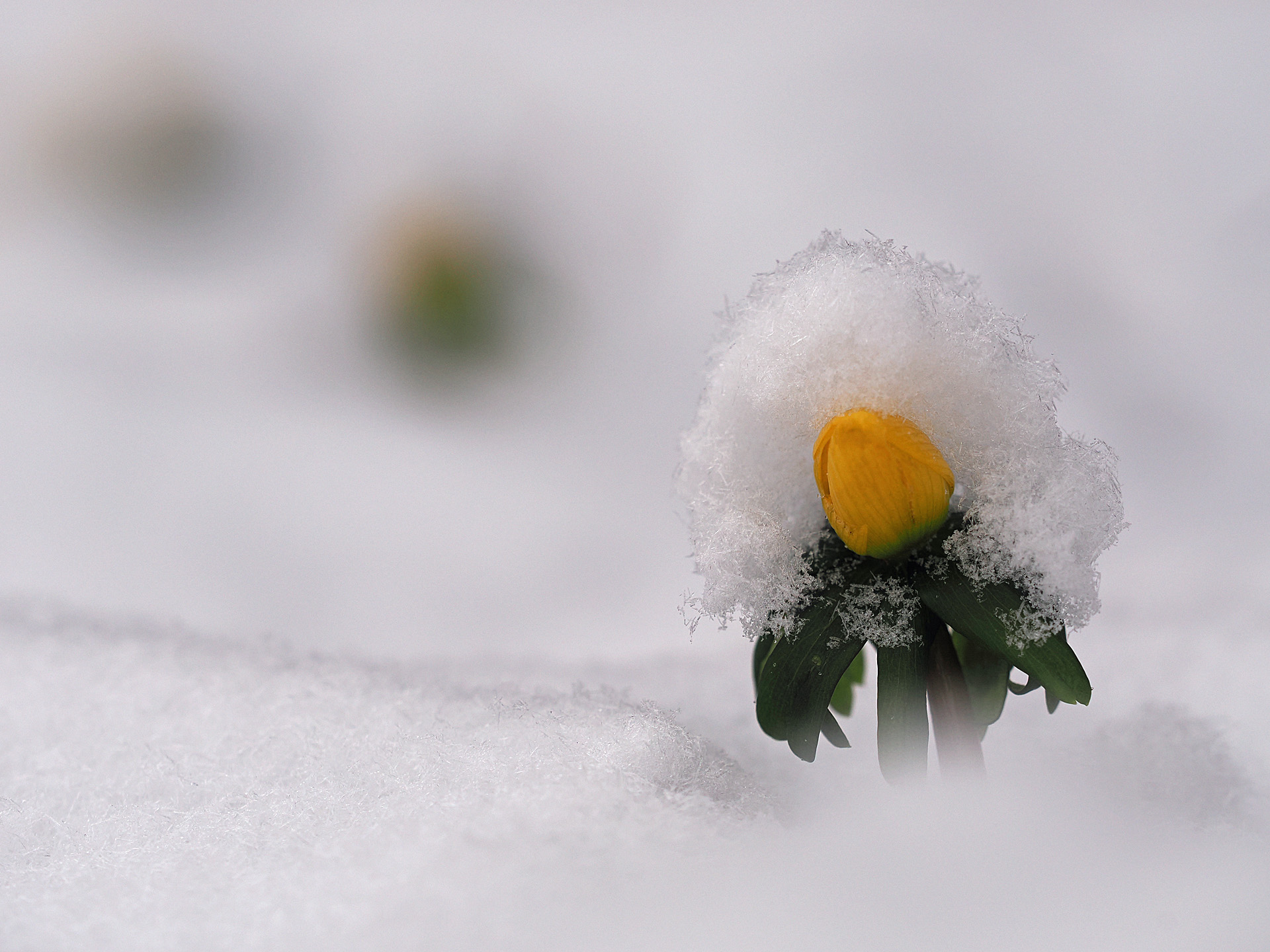 Winterlast