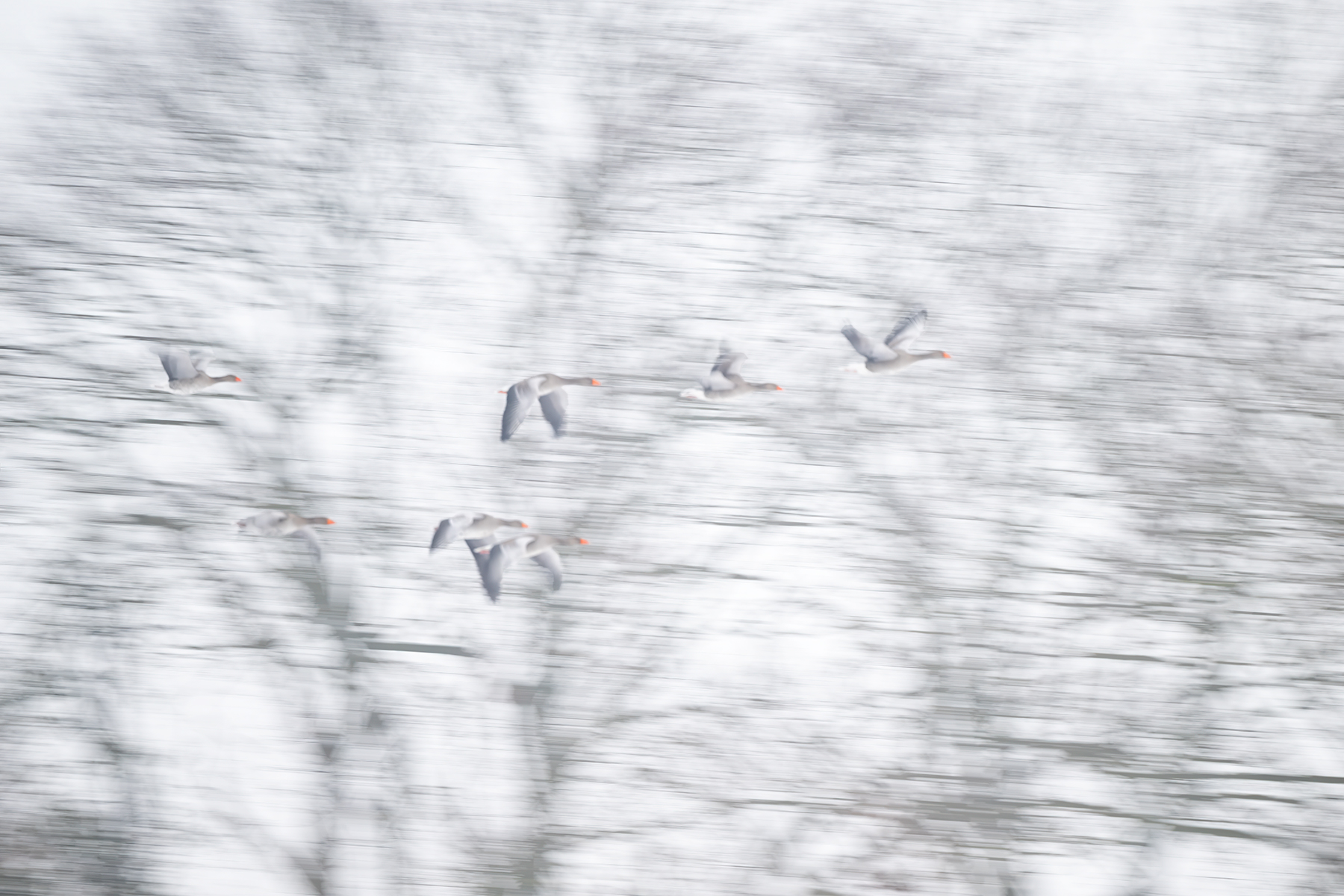 Winterliche Impression,