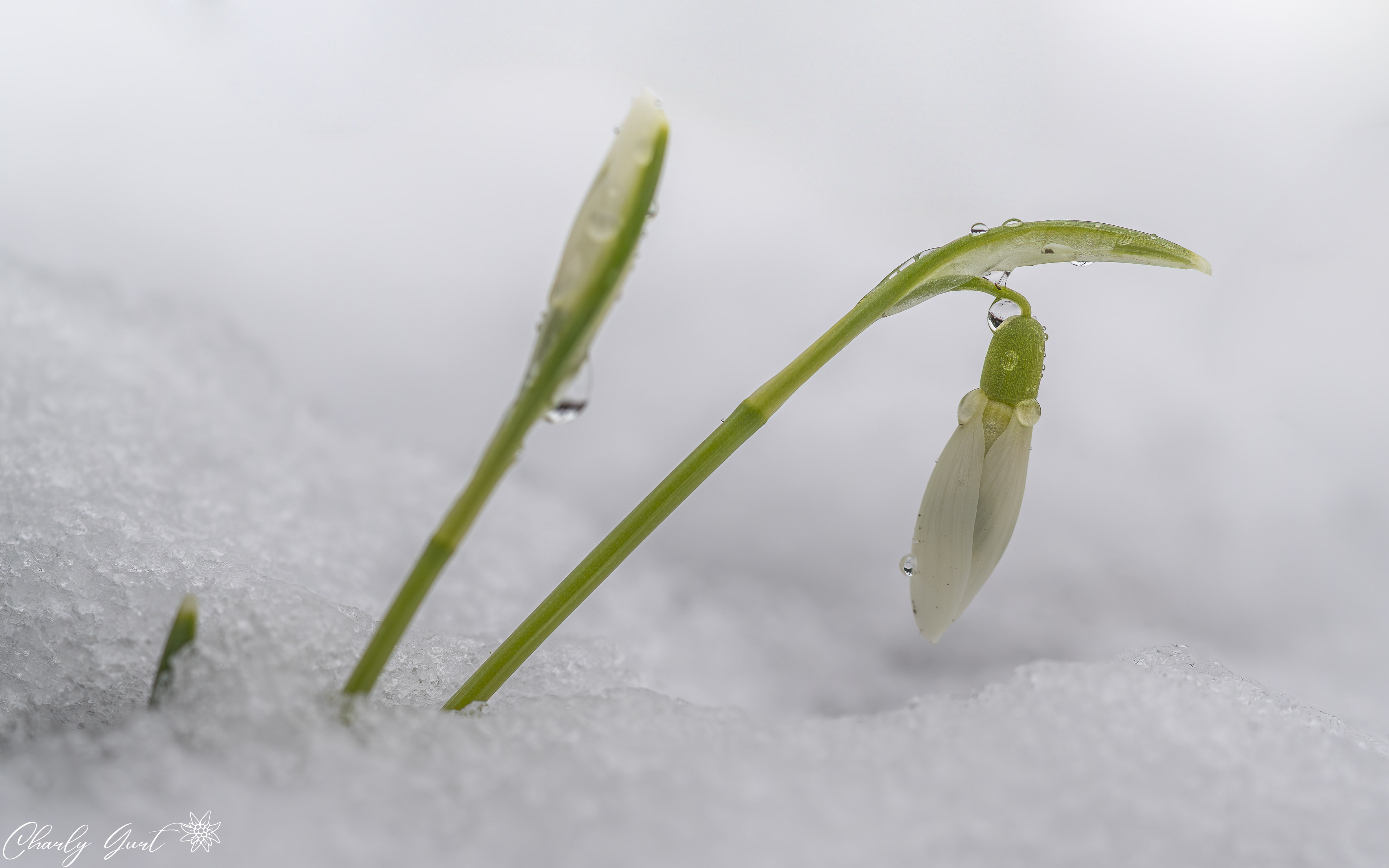 Der Winter kehrt noch mal zurück
