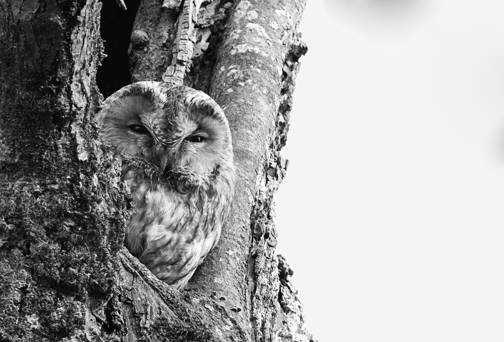 Tag und Nacht
