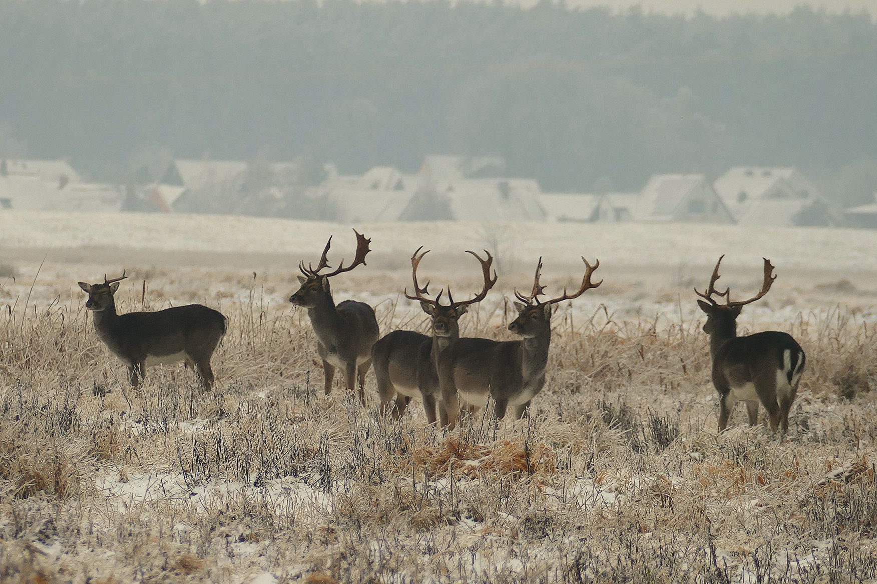 Schon einige Tage her