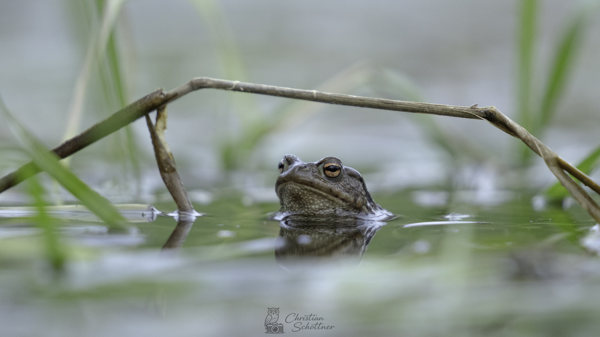 Warten bis es los geht