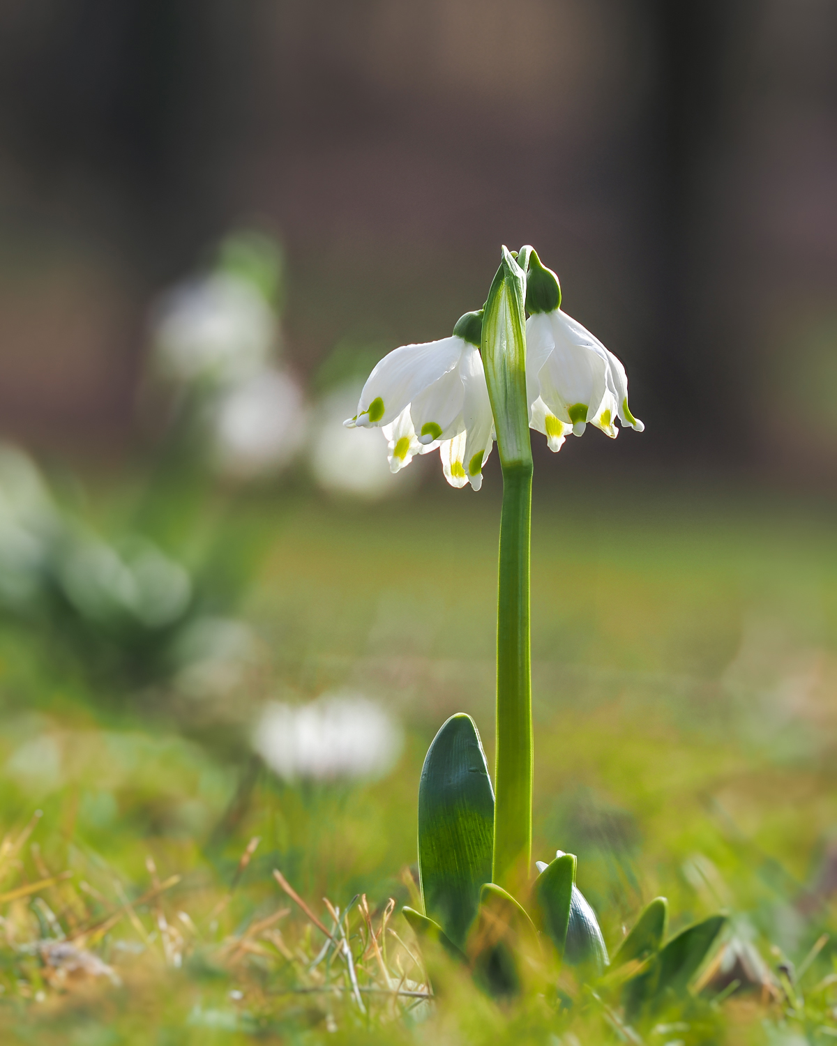 Sie kommen schon raus