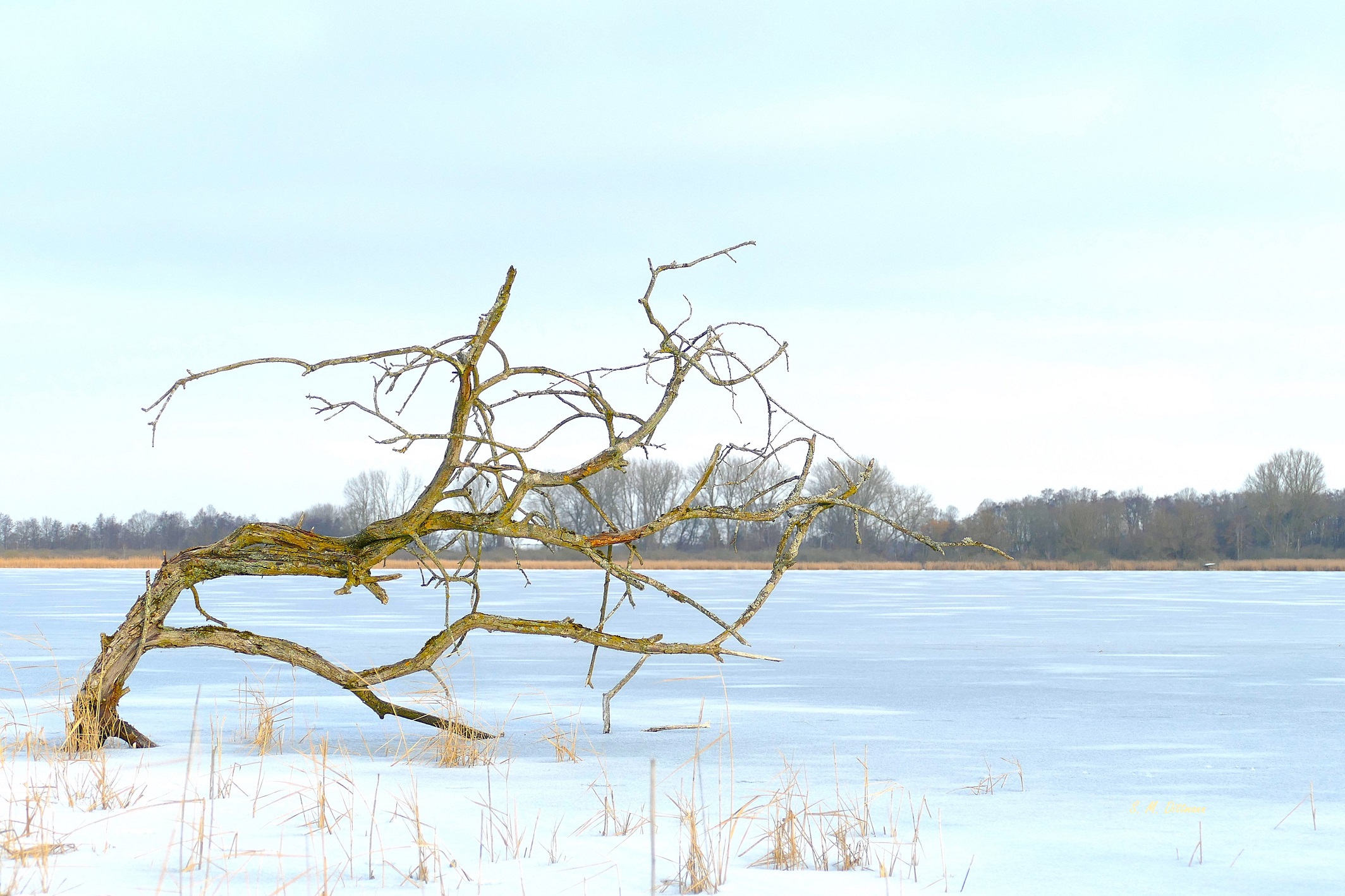 Der See .....