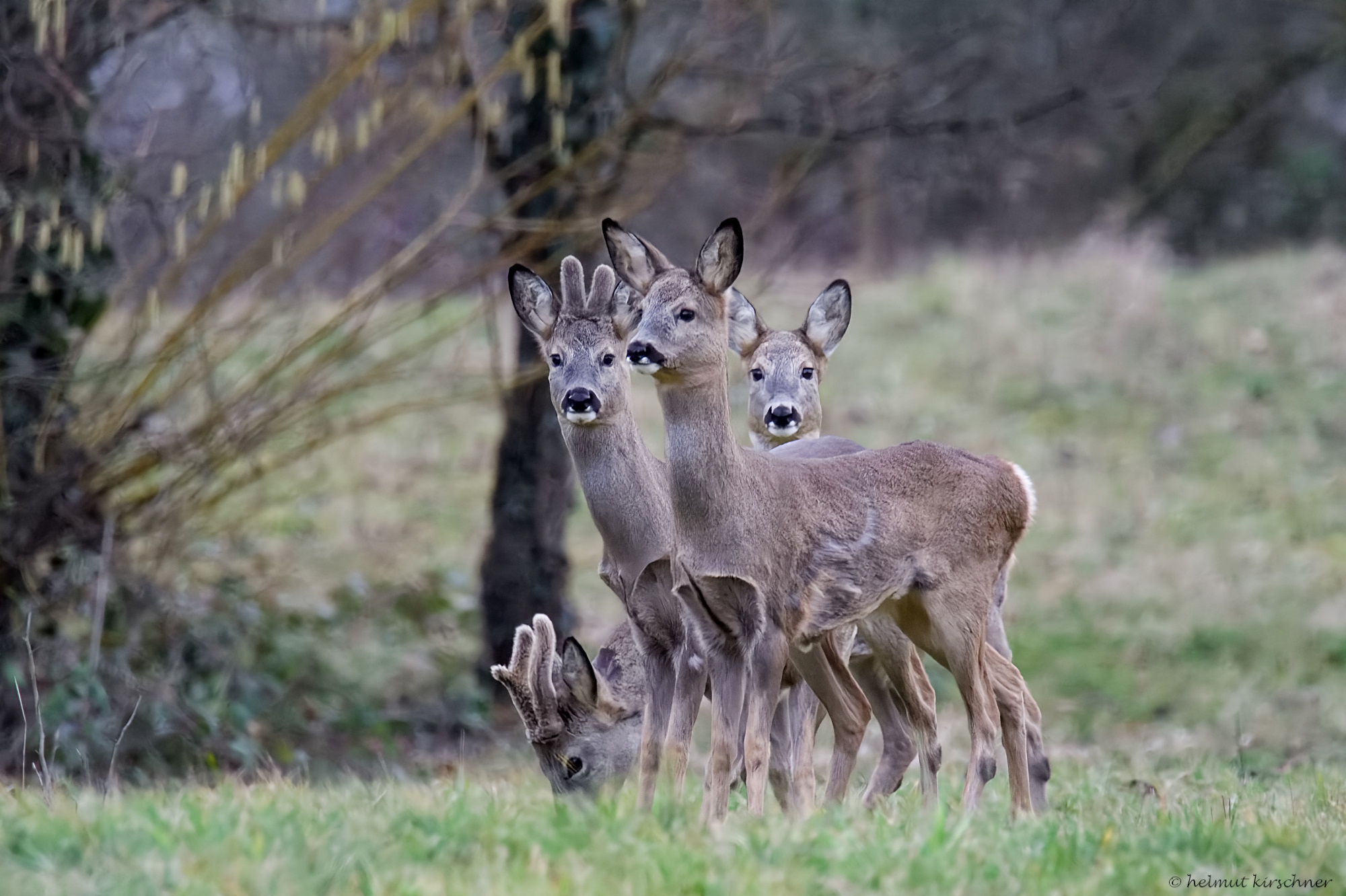 Kleine Gruppe
