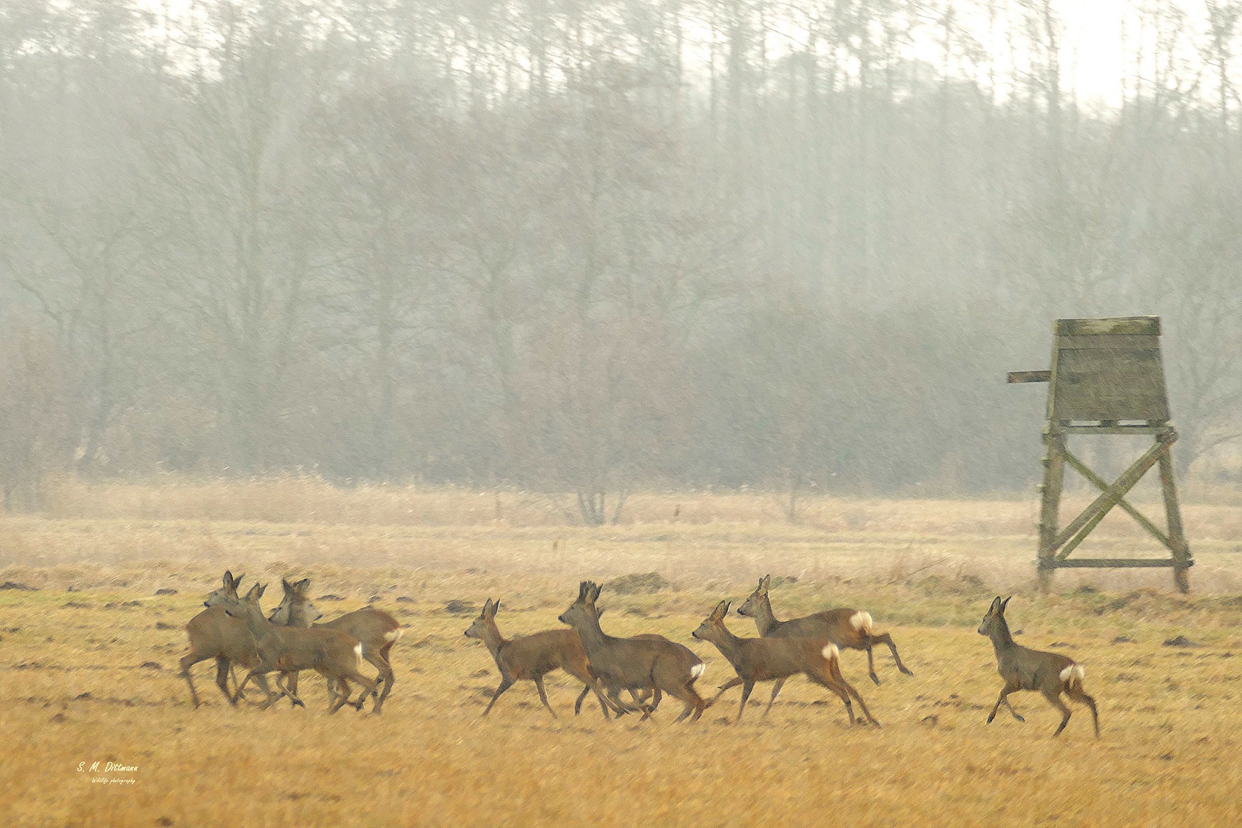 Bei strömendem Regen