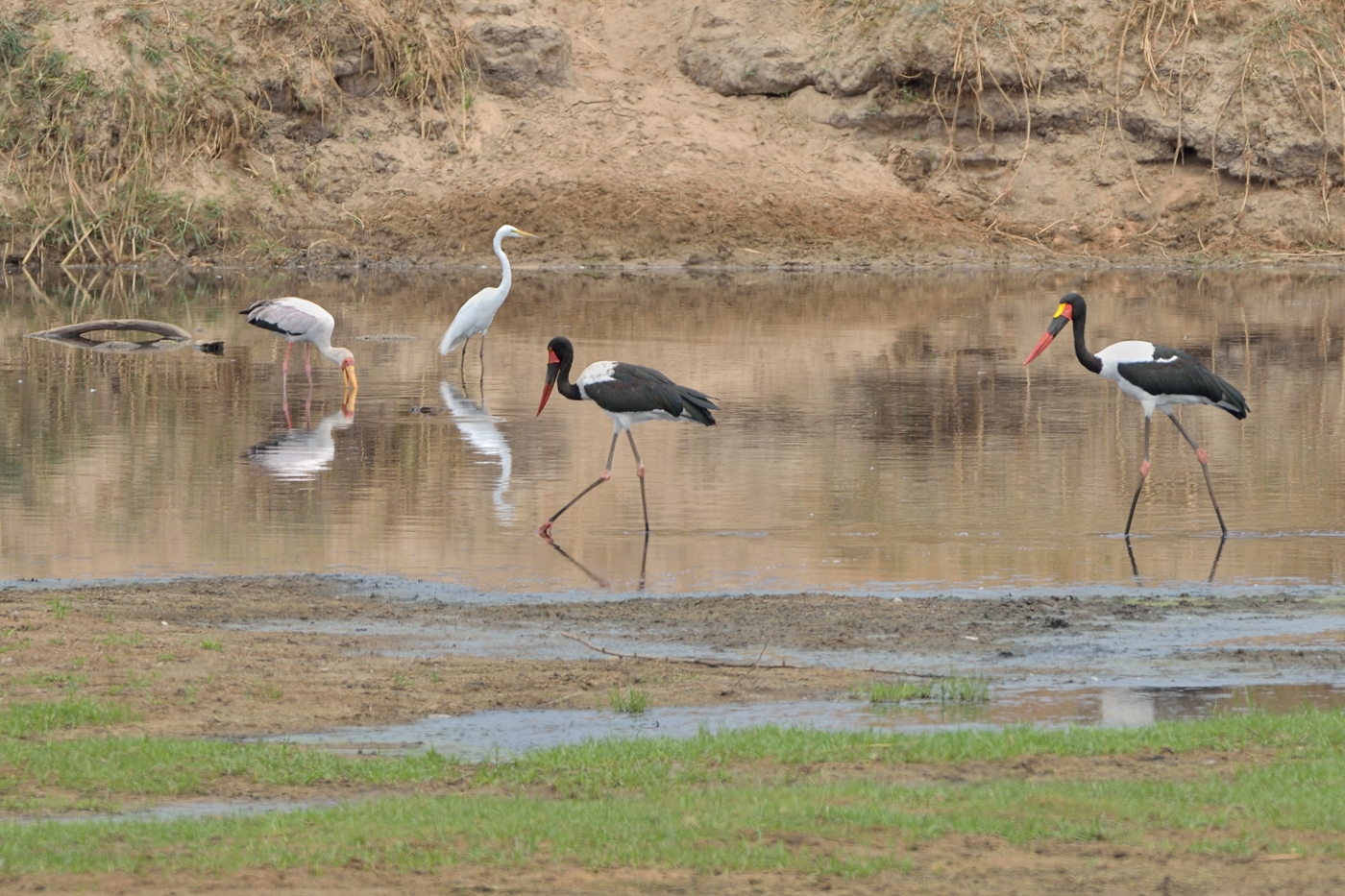 Am Ruaha