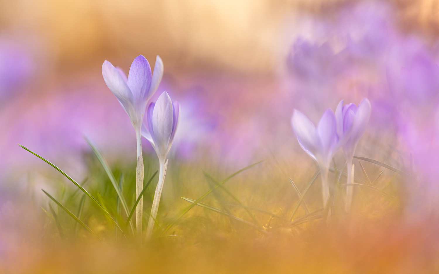 Licht und Farben