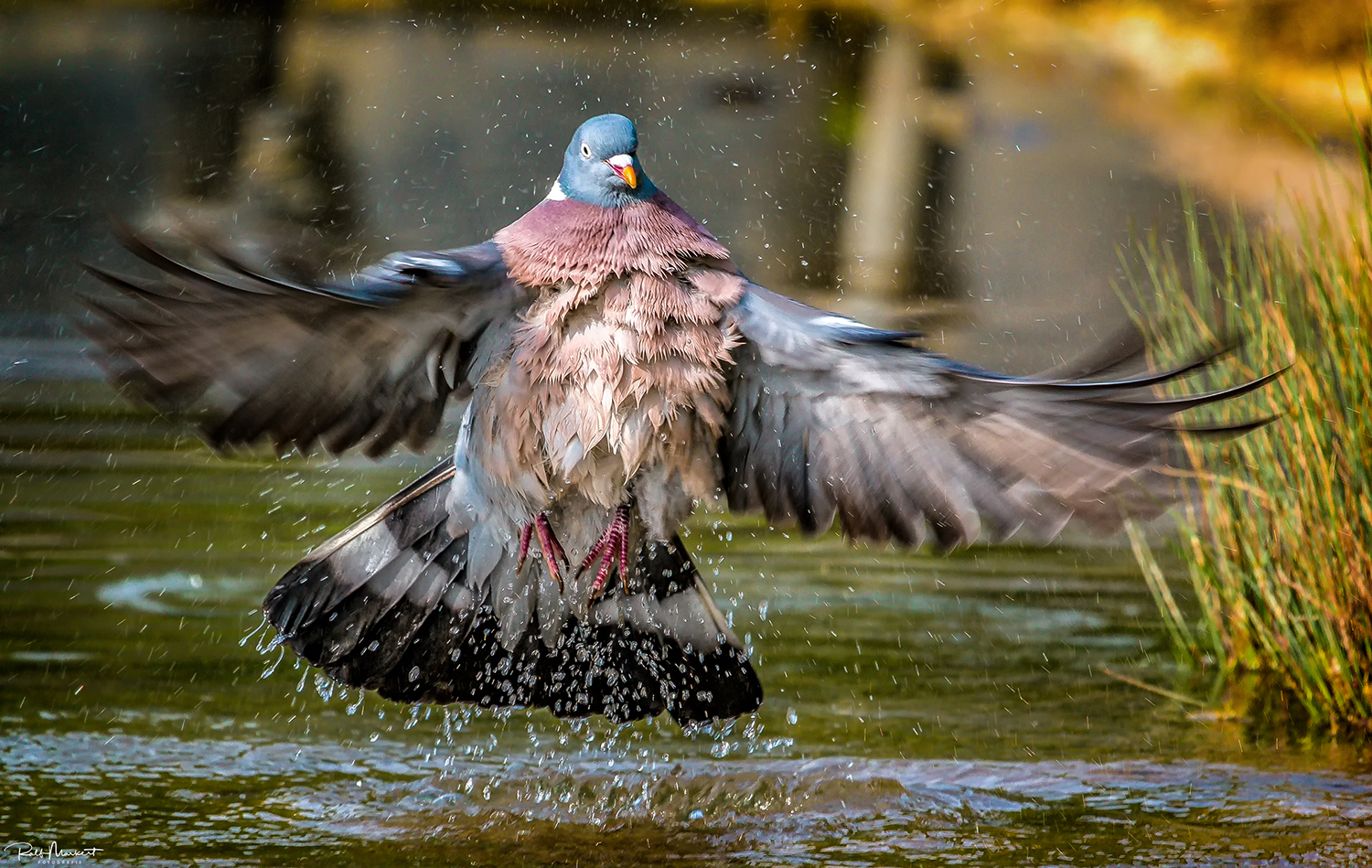 Abflug.....