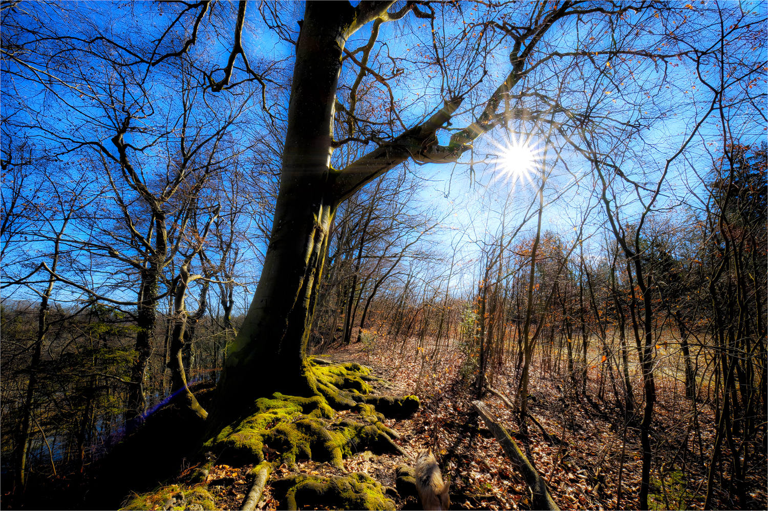 Am Isarabhang ...  (2)